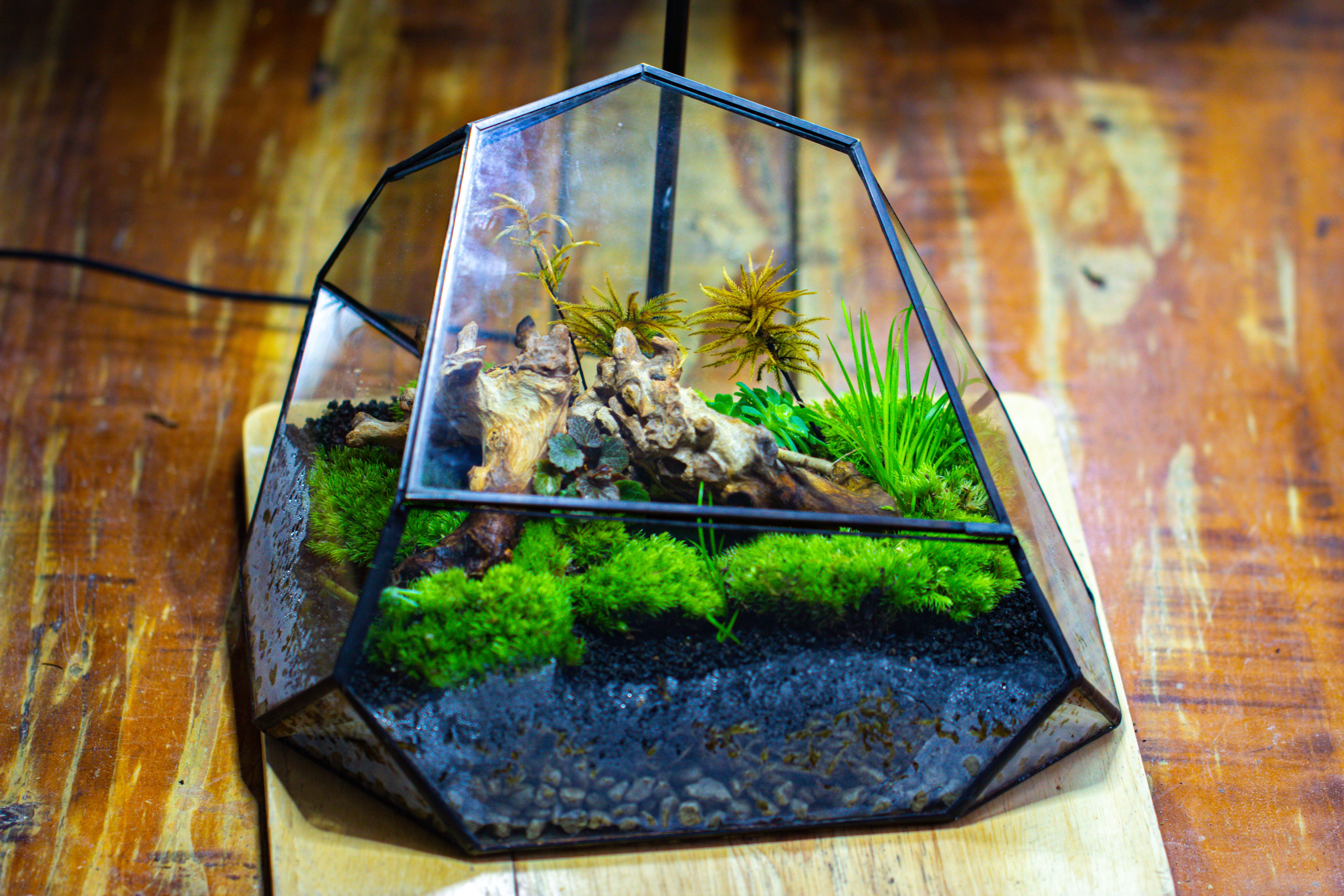 Irregular geometric rock shape glass and tin terrarium, for moss - NCYPgarden