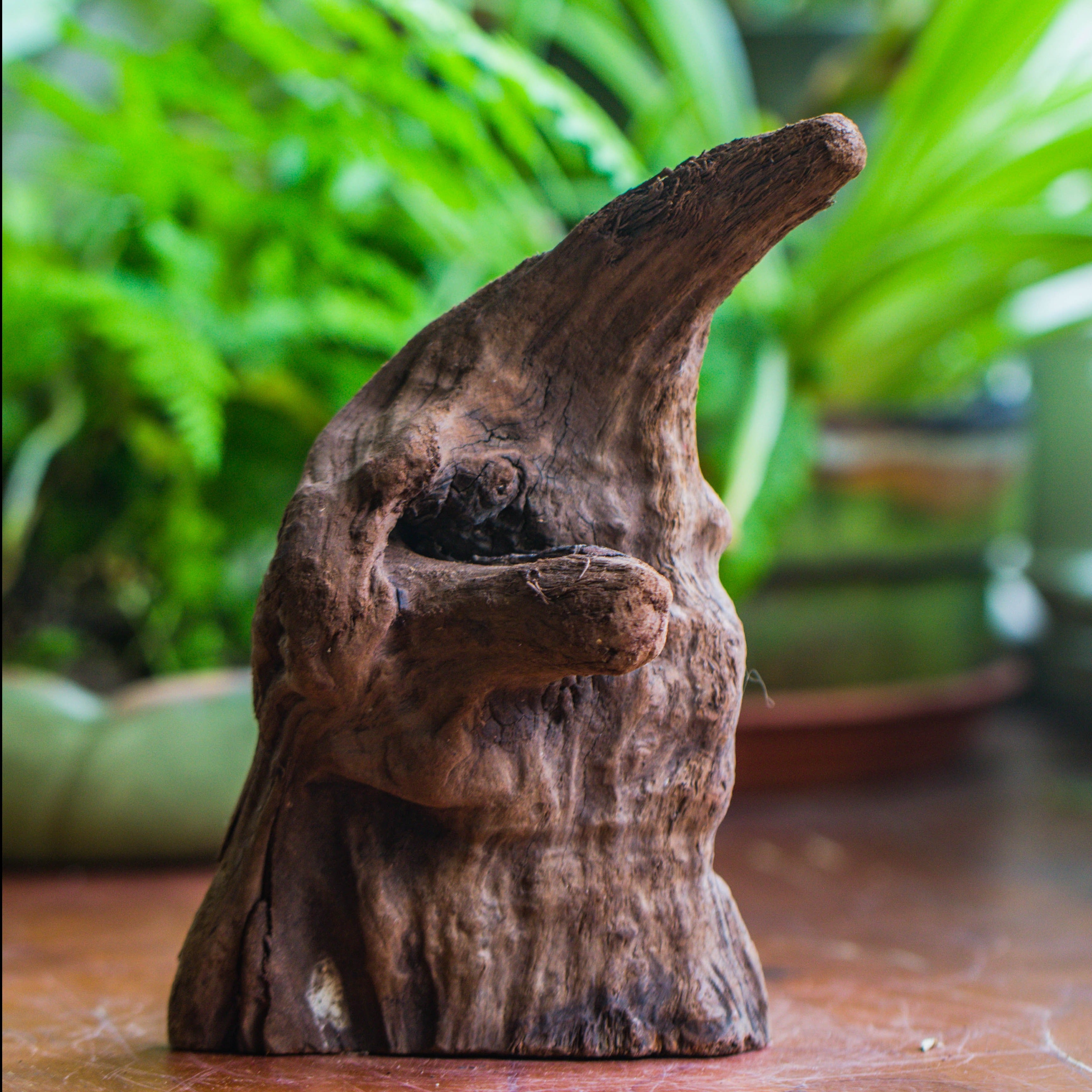 Natural driftwood for moss terrarium, miniature, micro landscape, unique  10-6, suitable for both live and preserved moss - NCYPgarden