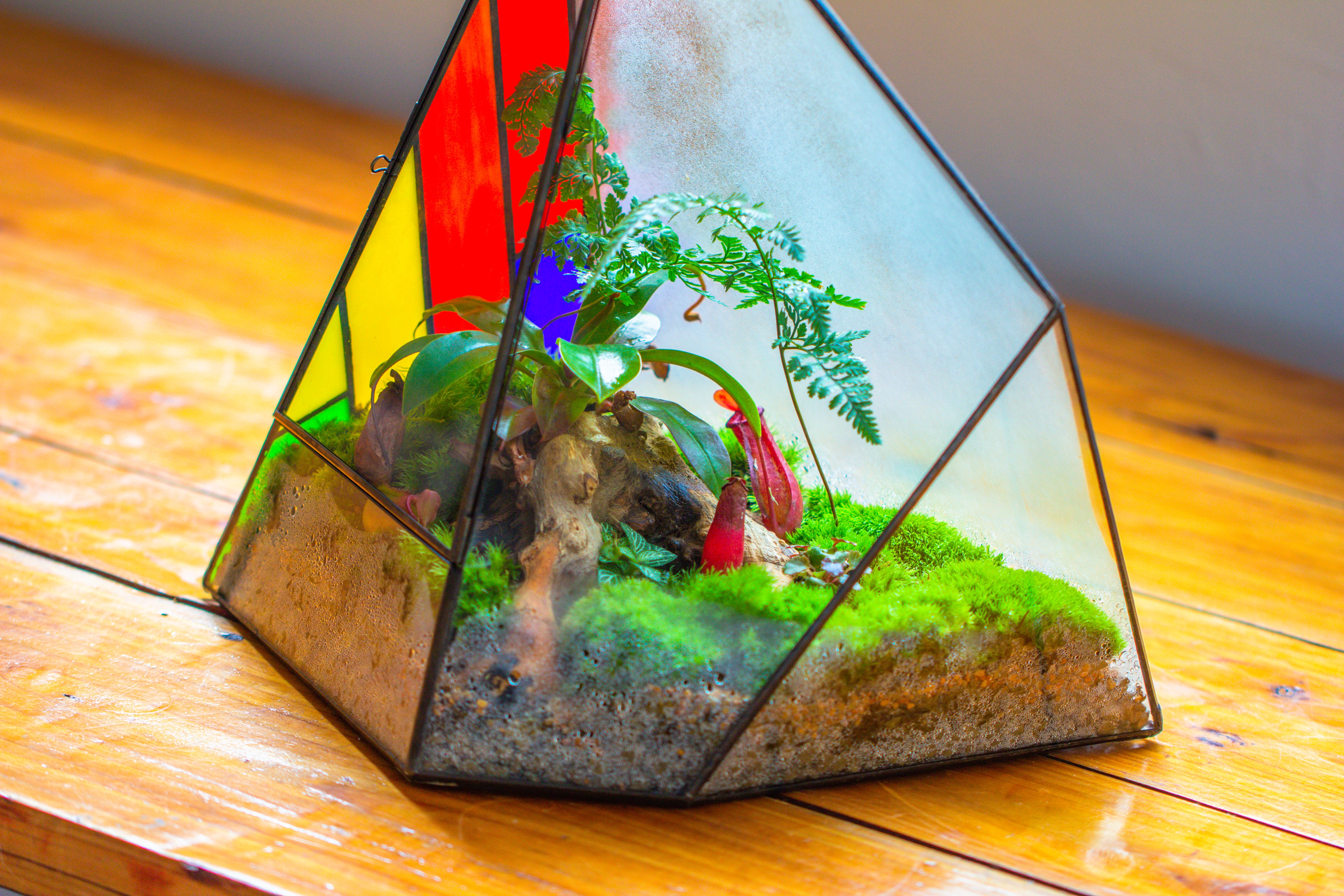 Rainbow Stained Glass Irregular Geometric Ice Peak  Shape Terrarium, Close - NCYPgarden