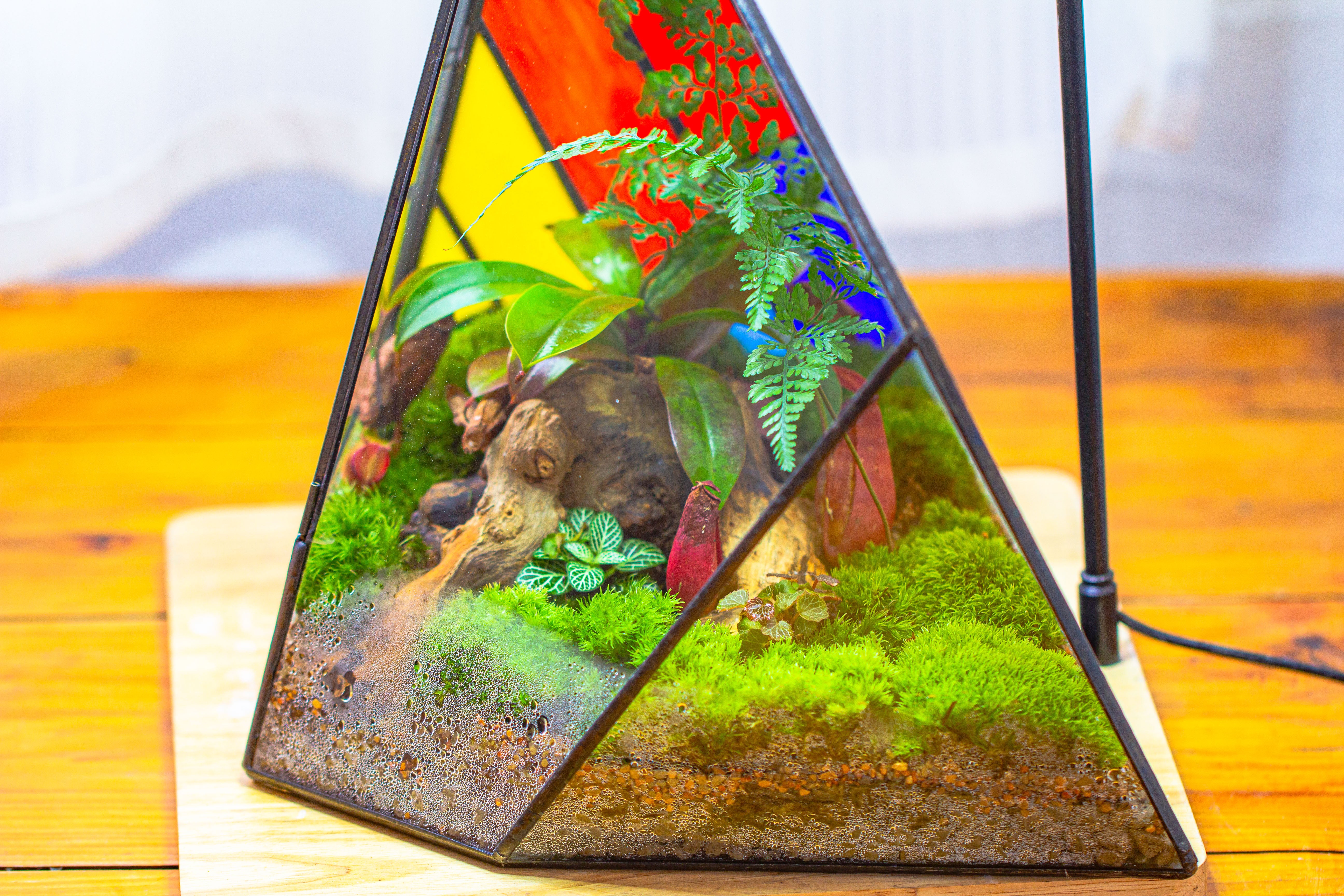 Rainbow Stained Glass Irregular Geometric Ice Peak  Shape Terrarium, Close - NCYPgarden