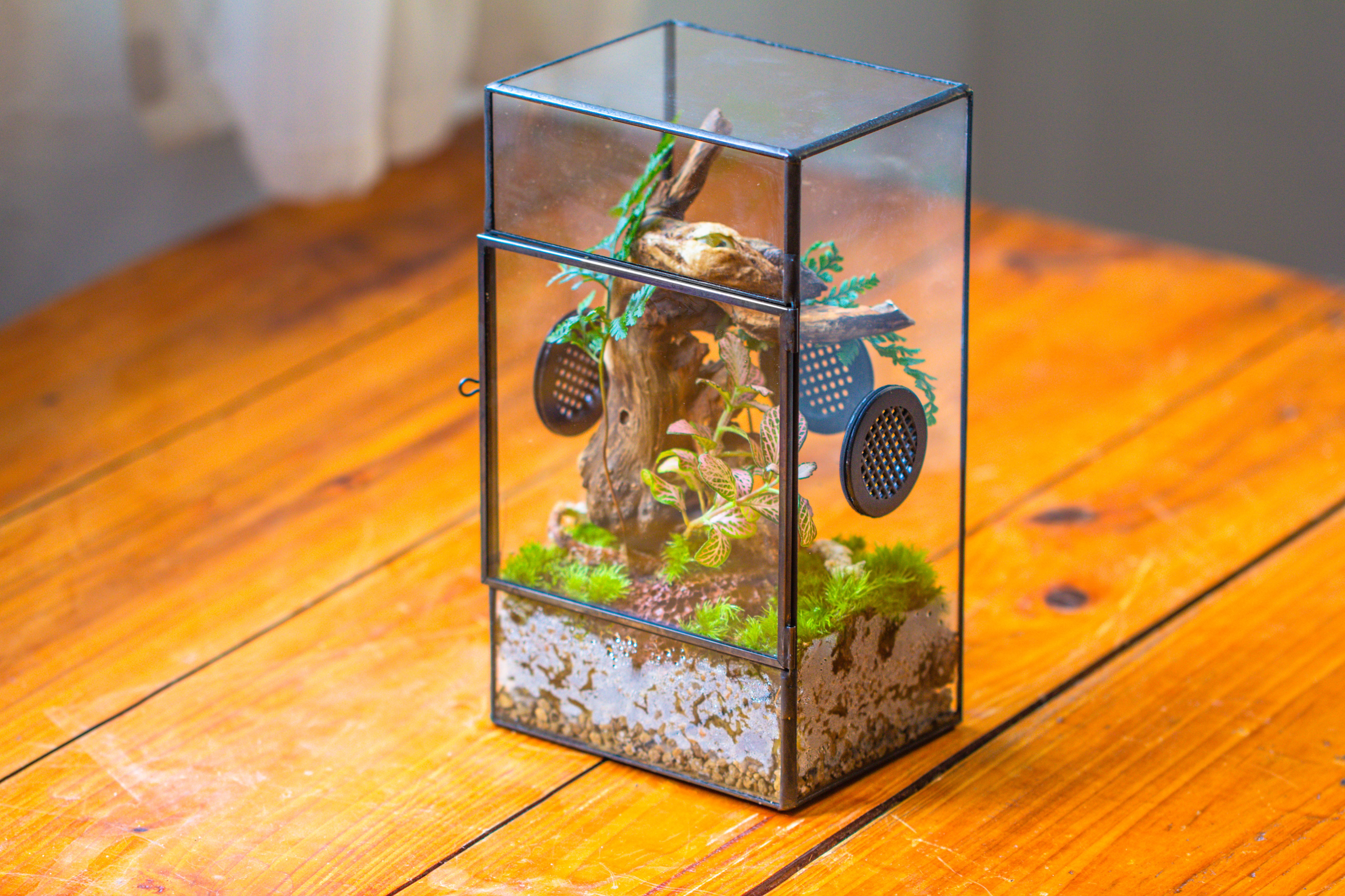 Glass Geometric Terrarium with Door Enclosure, Black Plastic Mesh Vent for Insects, Snail, Jumping Spider, Plants Not Included - NCYPgarden