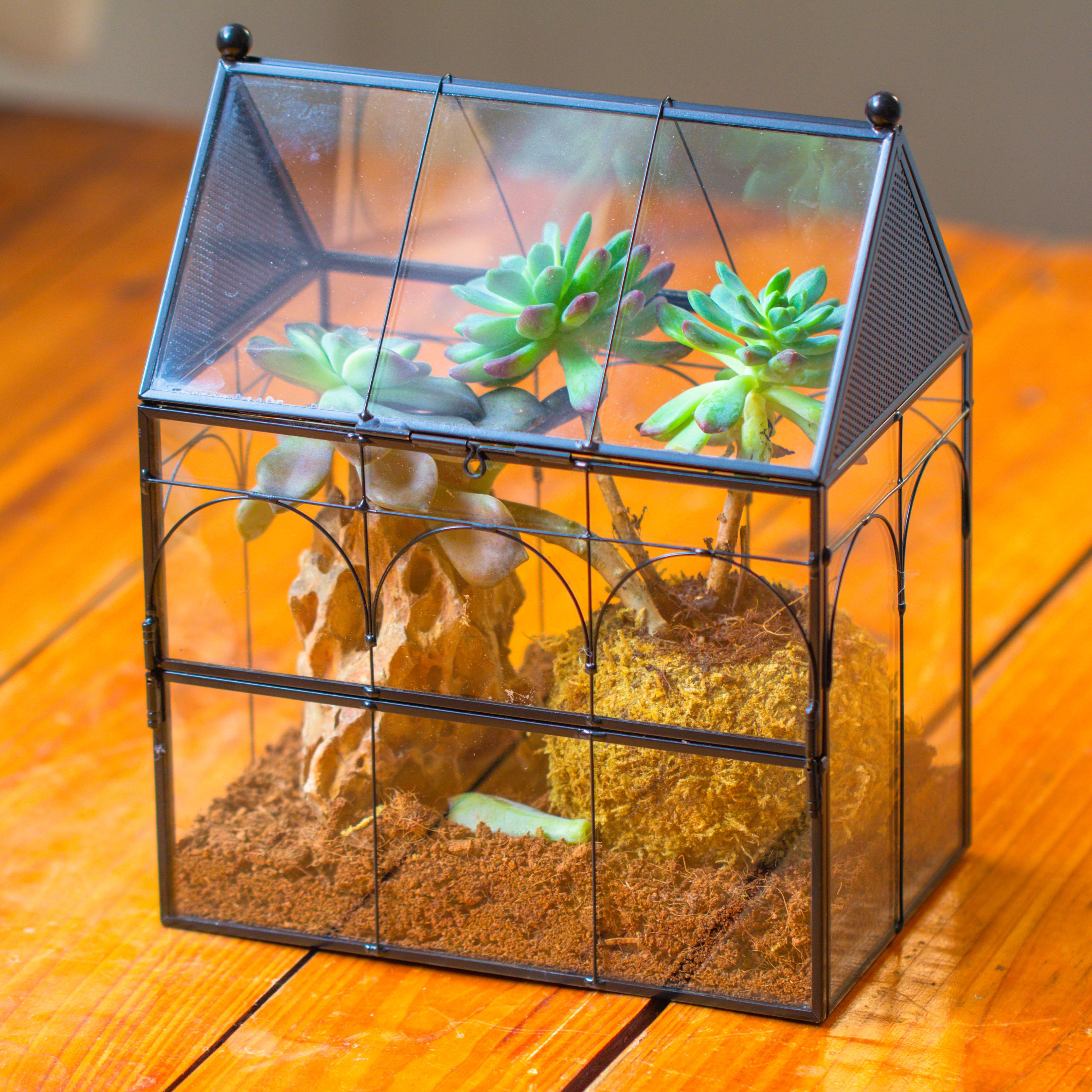 NCYP Vintage House Shape Glass Geometric Terrarium, with side door, with Mesh / vent holes for small Insects Pet - NCYPgarden