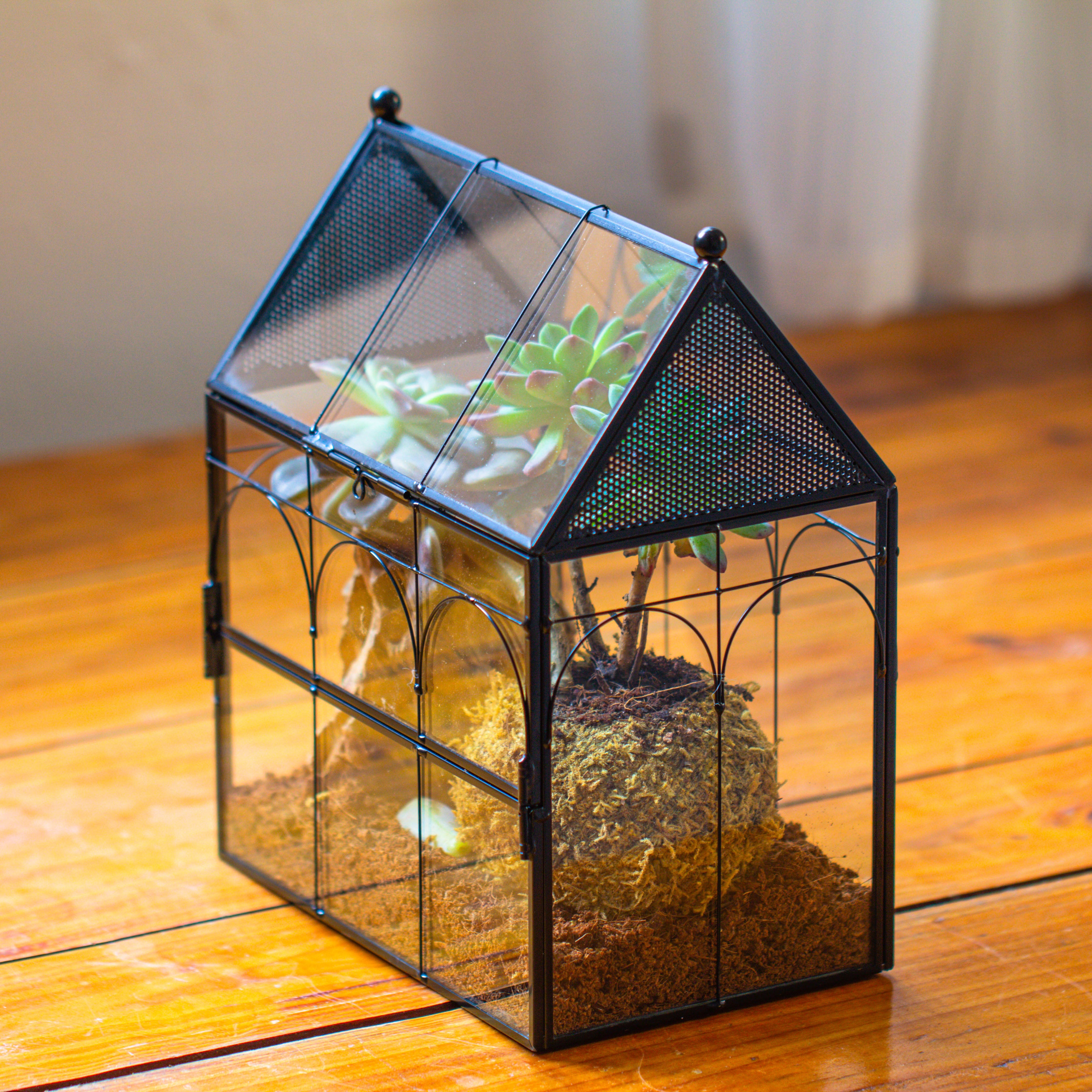 NCYP Vintage House Shape Glass Geometric Terrarium, with side door, with Mesh / vent holes for small Insects Pet - NCYPgarden