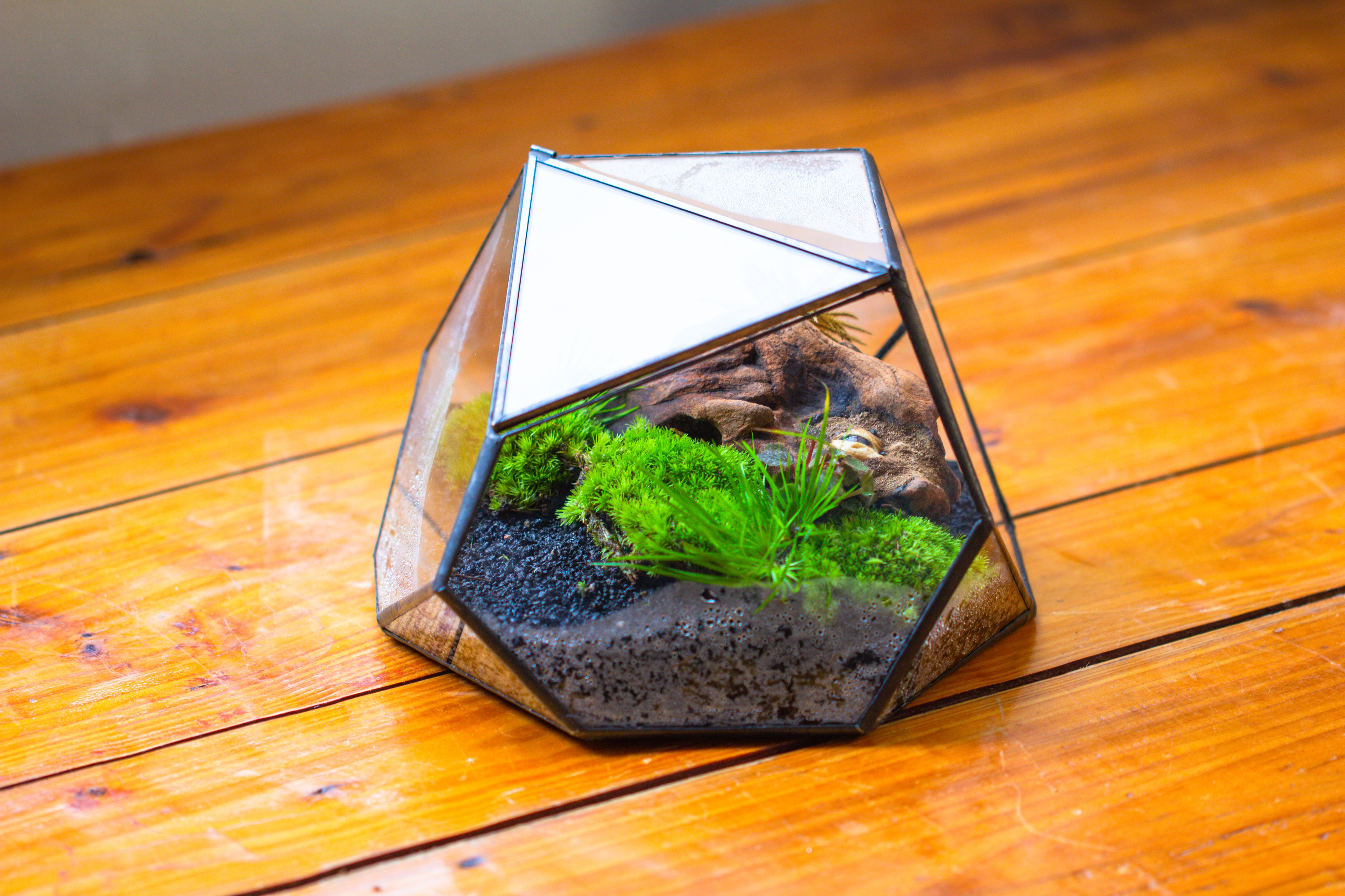 Geometric Terrarium Irregular, handmade,Tin and Glass - NCYPgarden