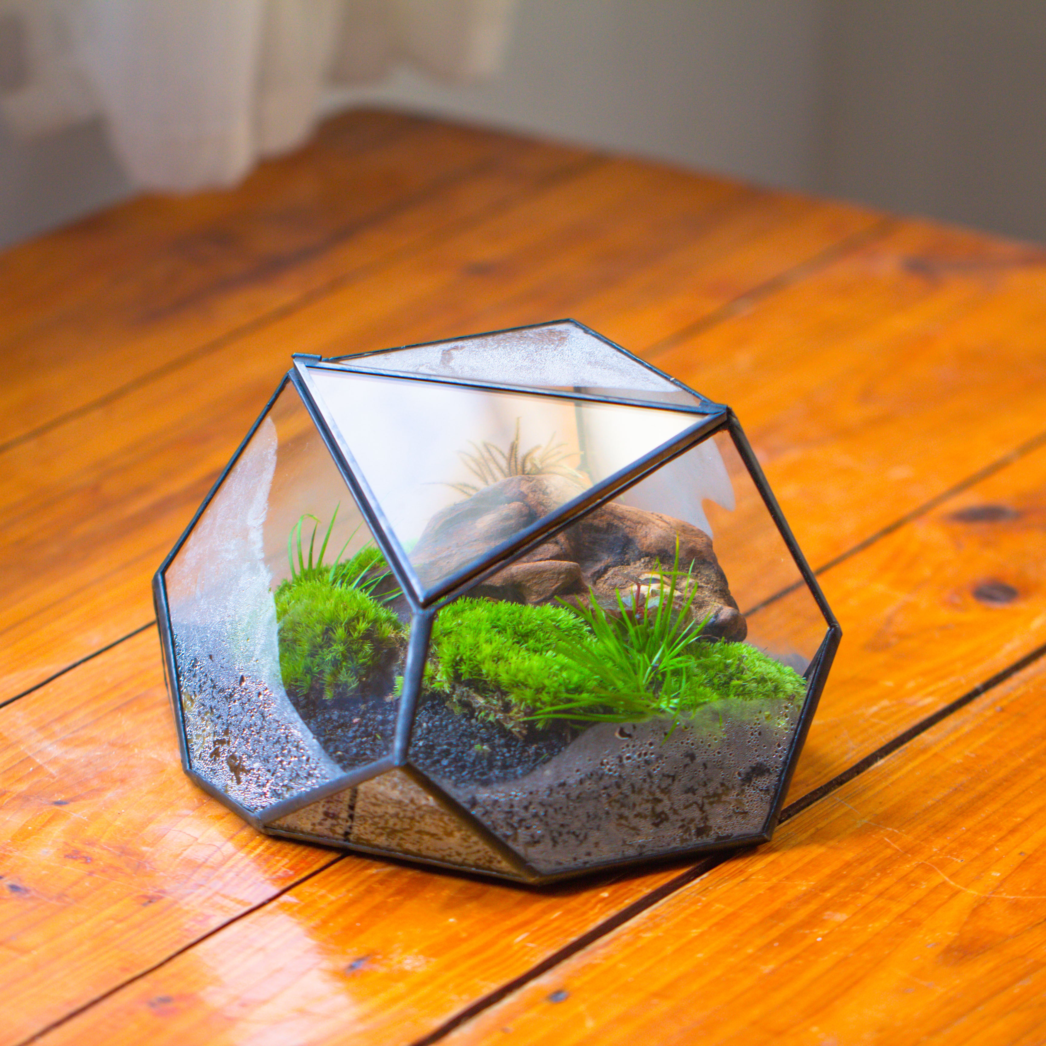 Geometric Terrarium Irregular, handmade,Tin and Glass - NCYPgarden