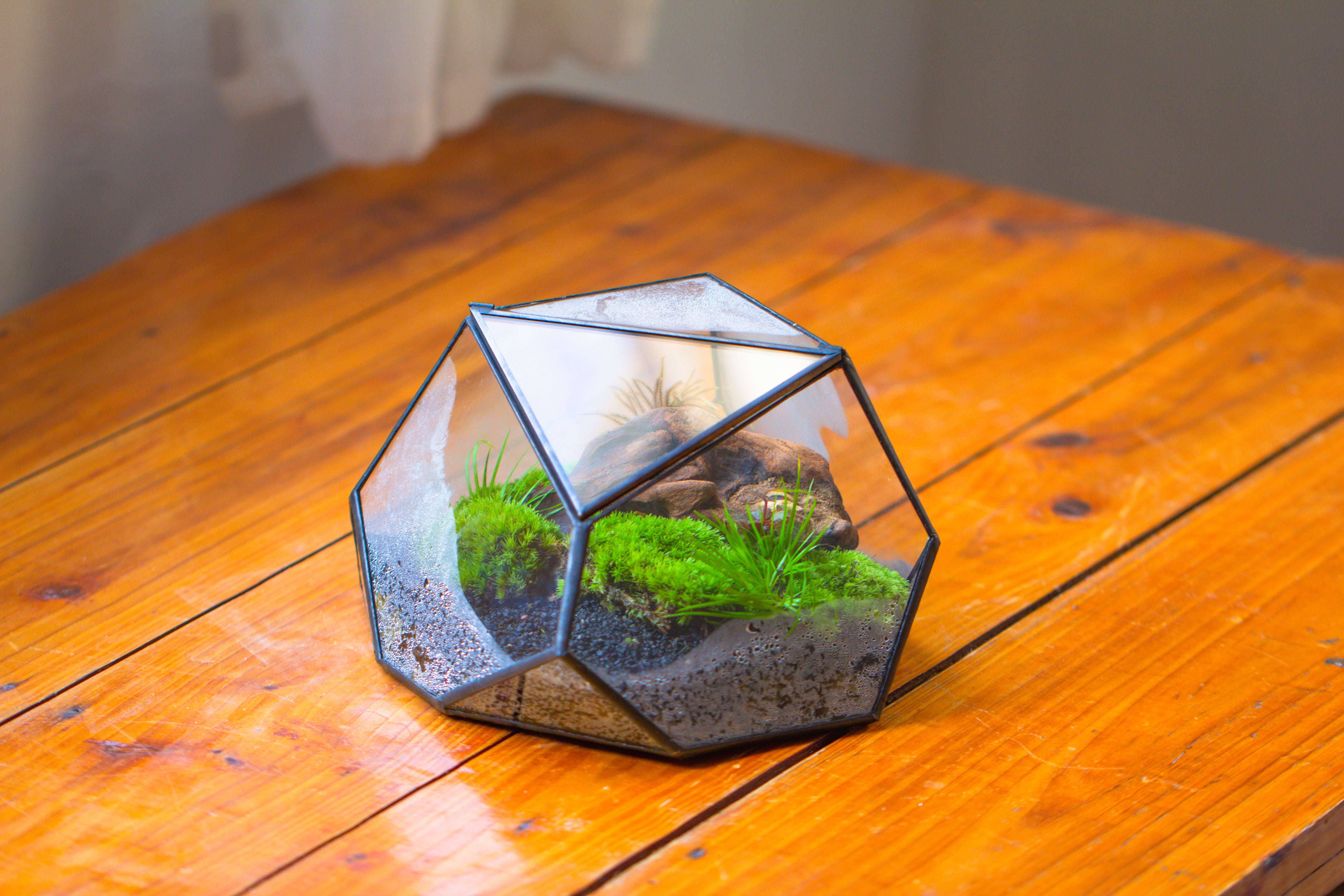 Geometric Terrarium Irregular, handmade,Tin and Glass - NCYPgarden