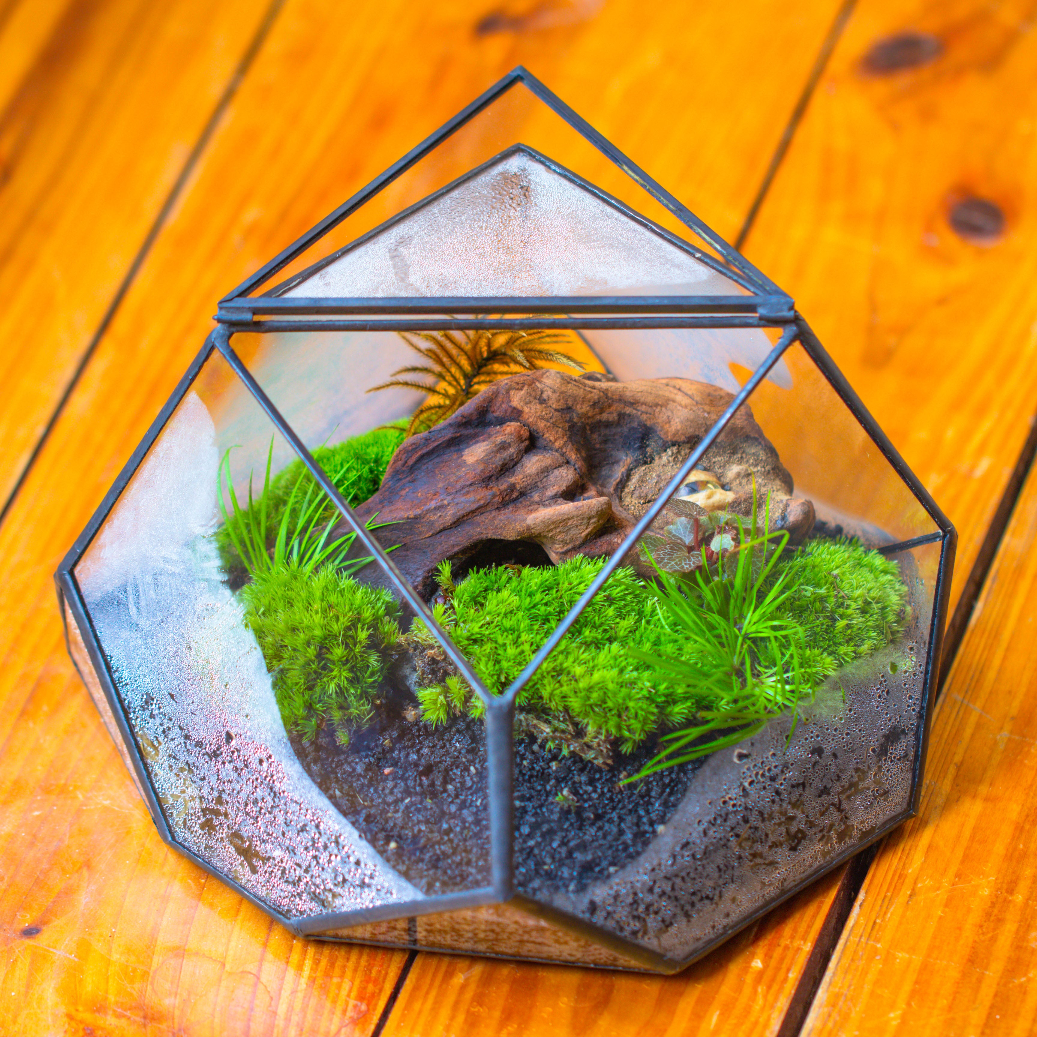 Geometric Terrarium Irregular, handmade,Tin and Glass - NCYPgarden