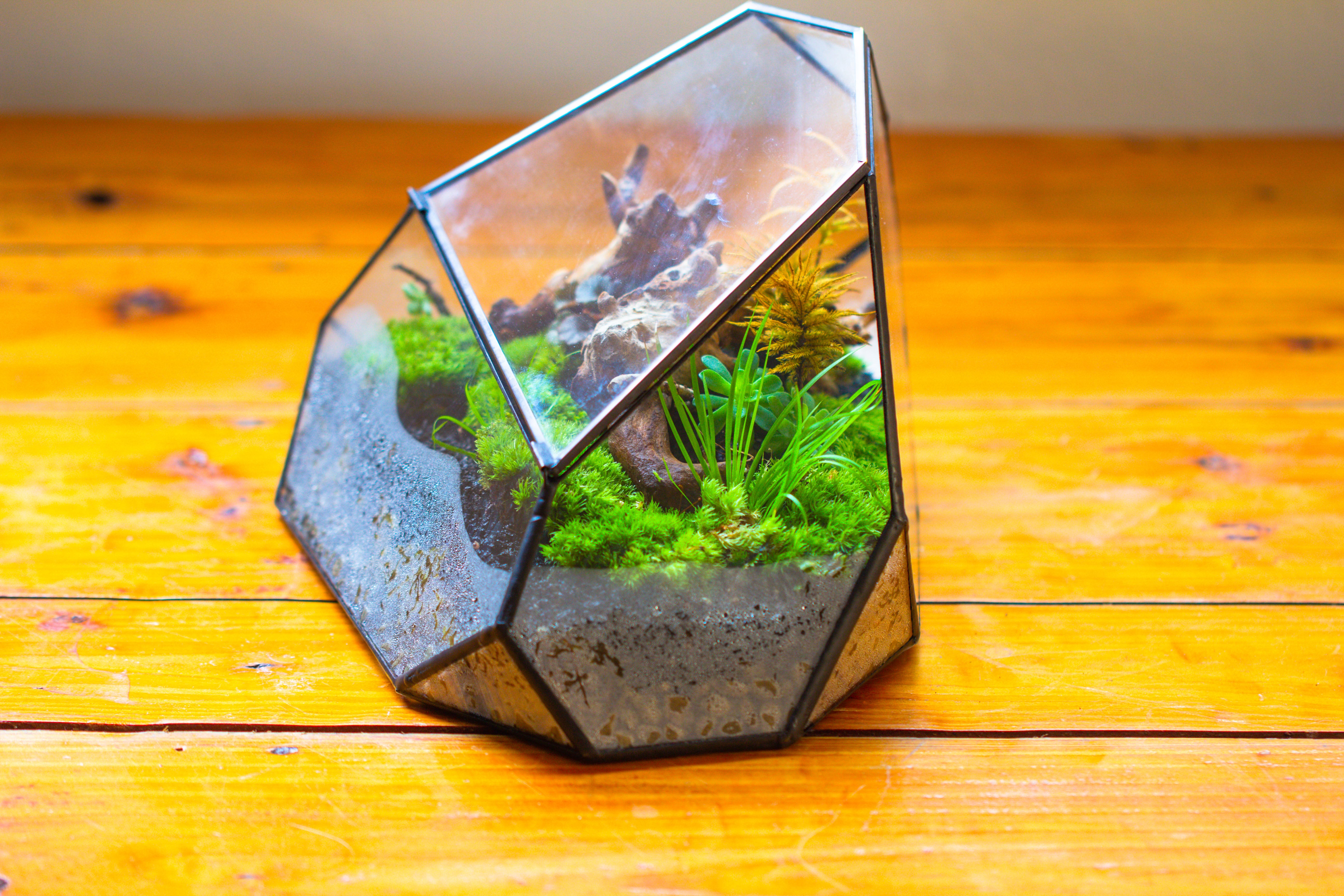 Irregular geometric rock shape glass and tin terrarium, for moss - NCYPgarden