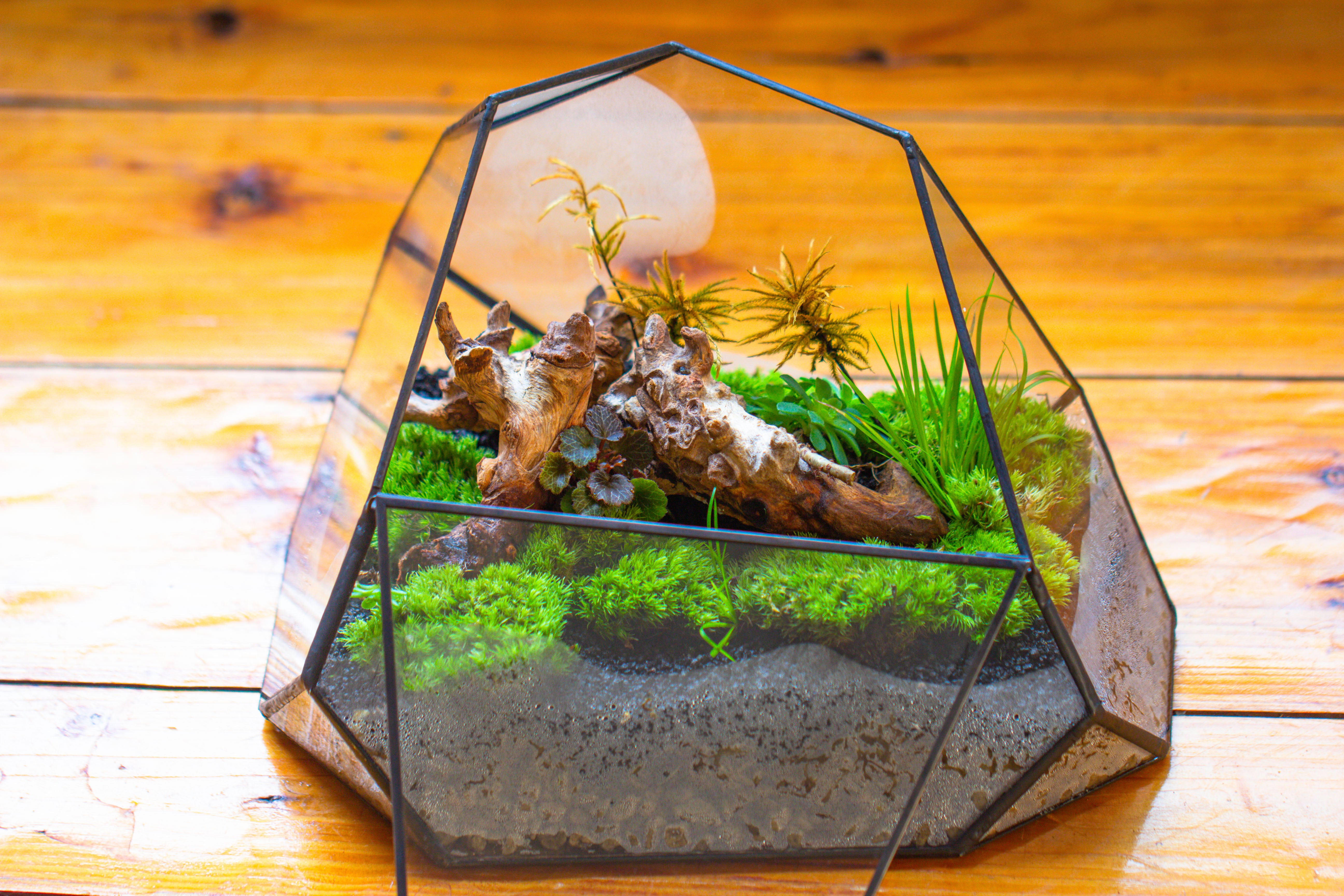 Irregular geometric rock shape glass and tin terrarium, for moss - NCYPgarden
