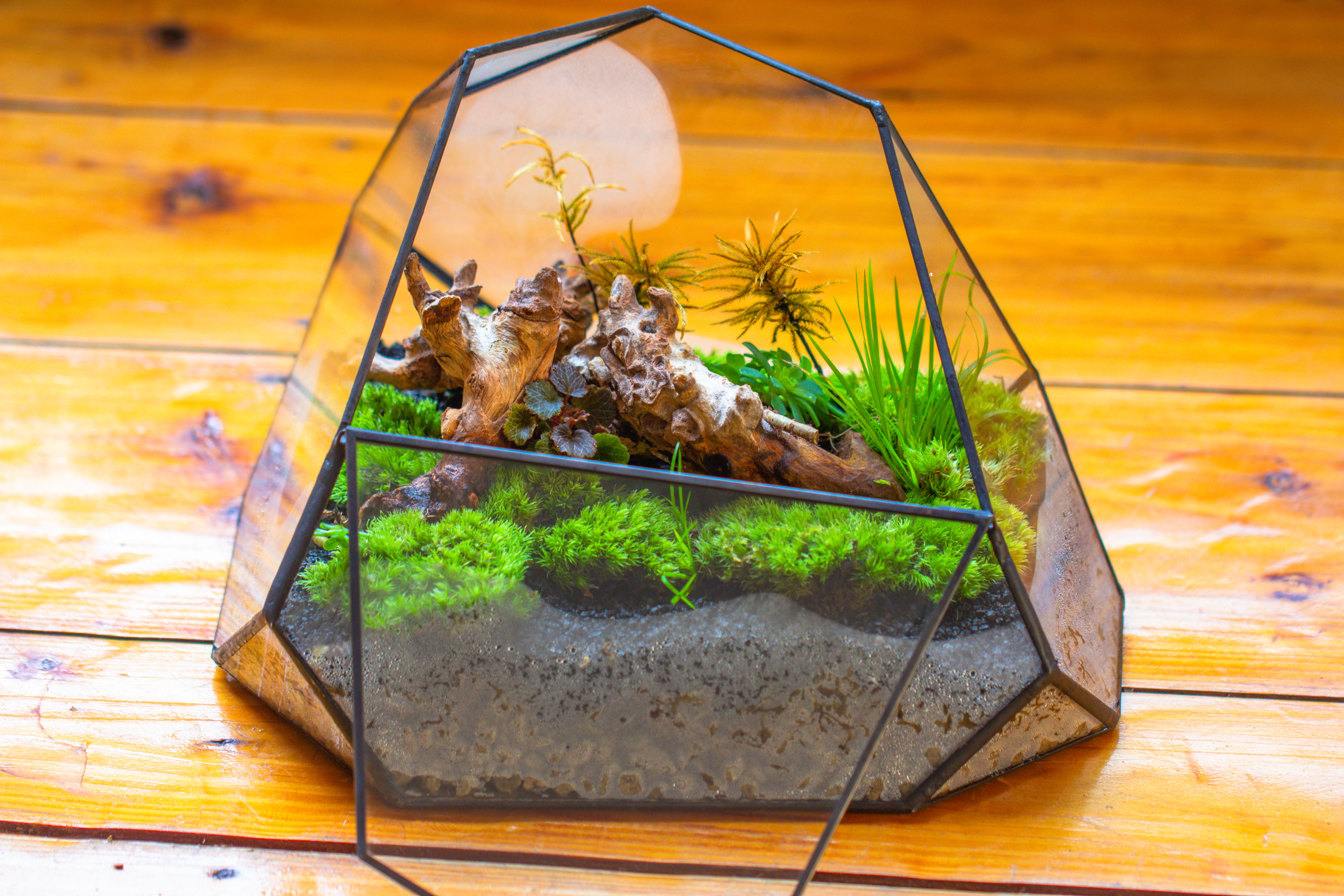 Irregular geometric rock shape glass and tin terrarium, for moss - NCYPgarden