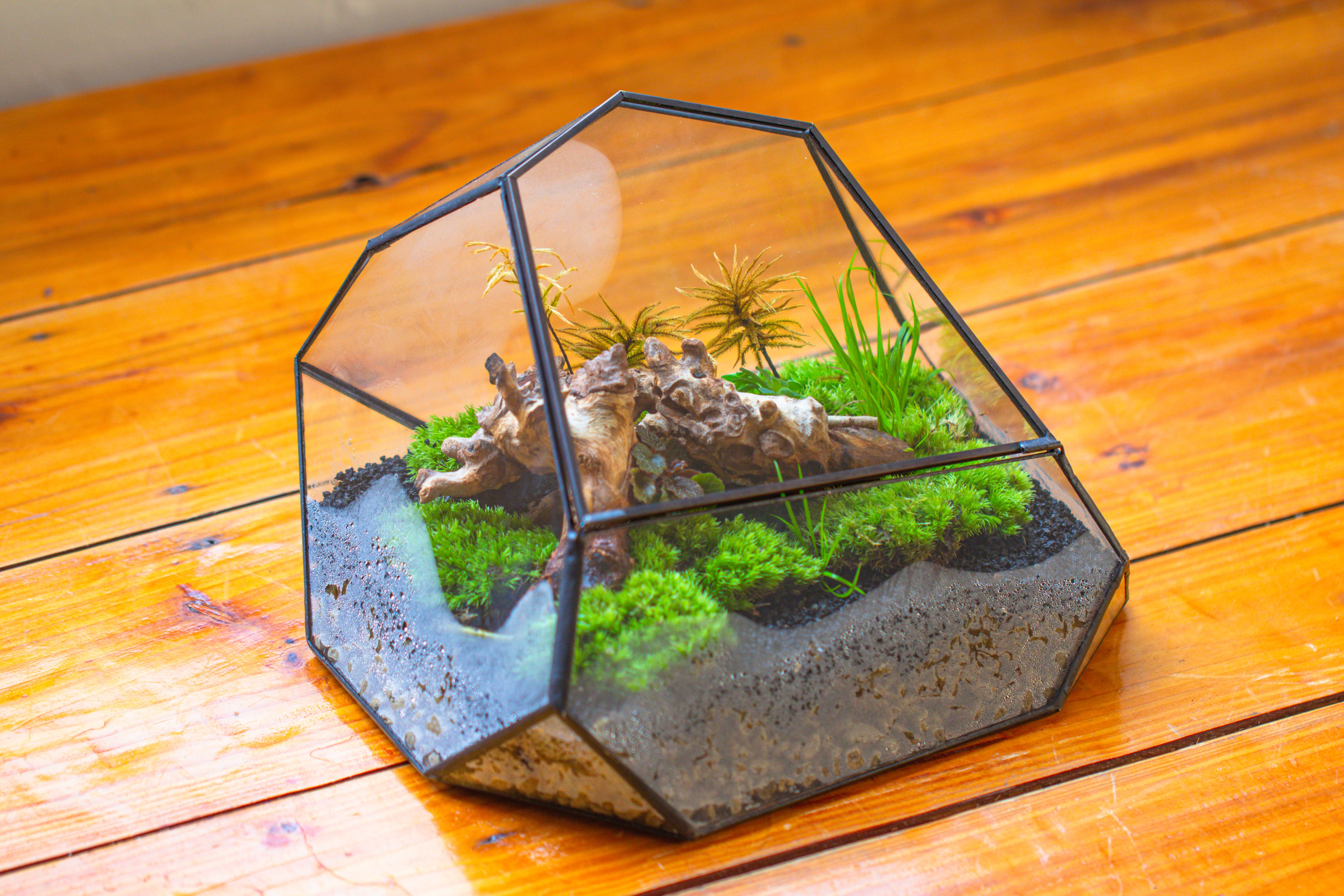 Irregular geometric rock shape glass and tin terrarium, for moss - NCYPgarden