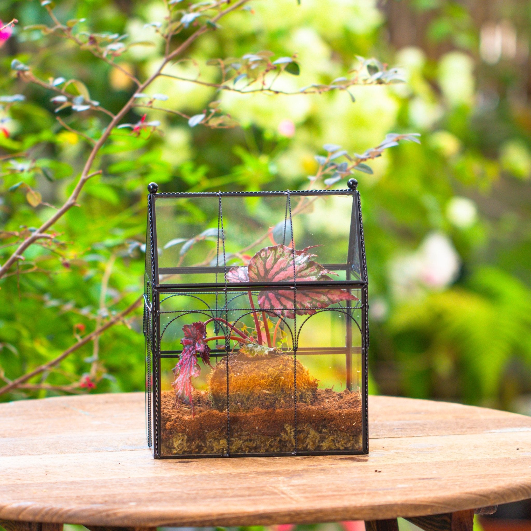 NCYP Vintage House Shape Glass Geometric Terrarium, with side door, with Mesh vent holes for small Insects Pet - NCYPgarden