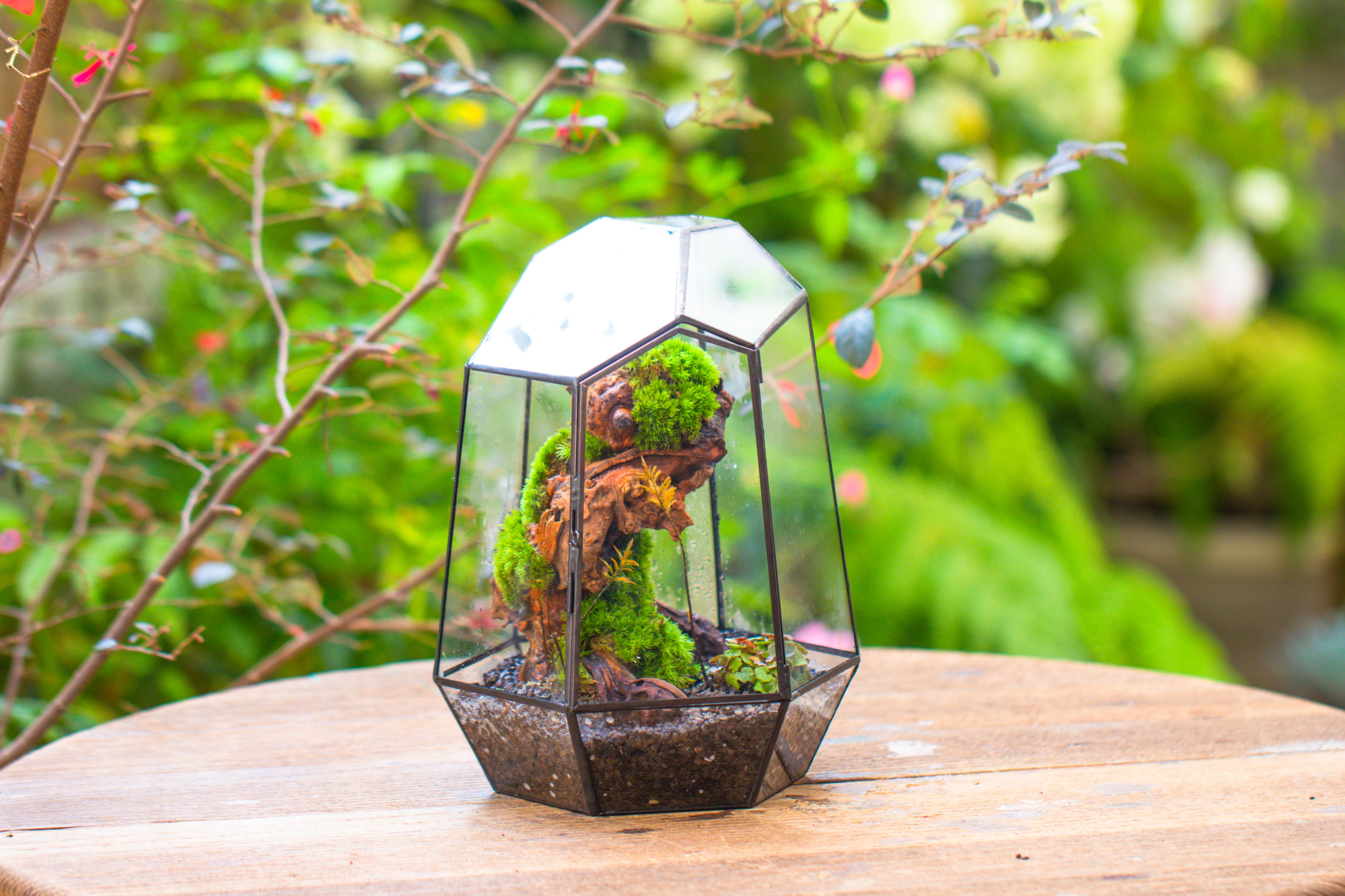 NCYP Large Close Geometric Glass Terrarium with Door, Tin Sealed Irregular Tall Planter for moss Flower Pot - NCYPgarden