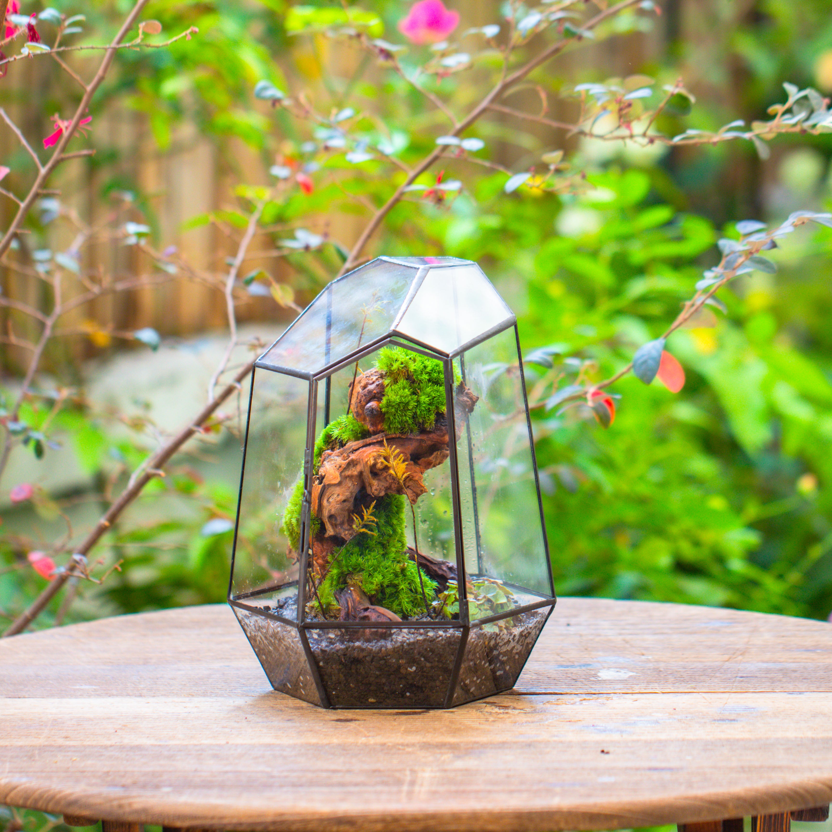 NCYP Large Close Geometric Glass Terrarium with Door, Tin Sealed Irregular Tall Planter for moss Flower Pot - NCYPgarden