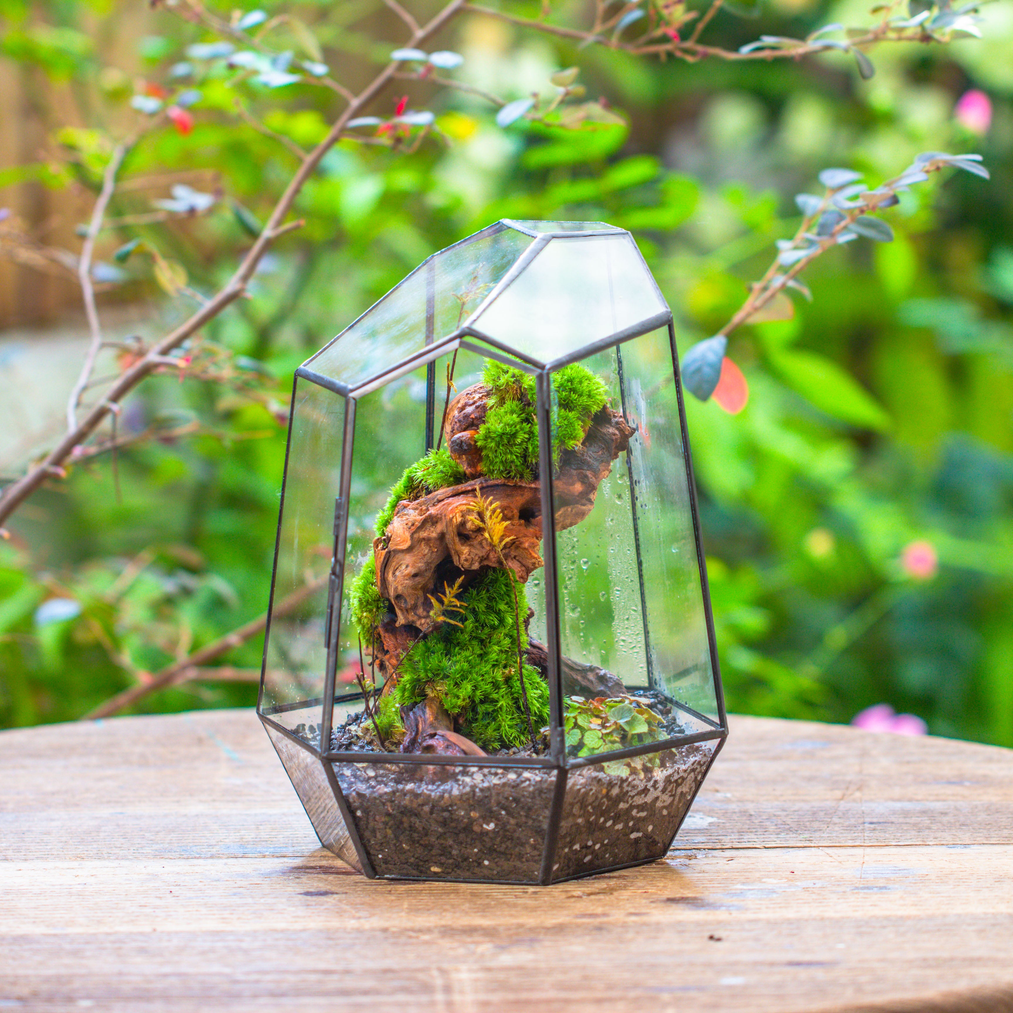 NCYP Large Close Geometric Glass Terrarium with Door, Tin Sealed Irregular Tall Planter for moss Flower Pot - NCYPgarden