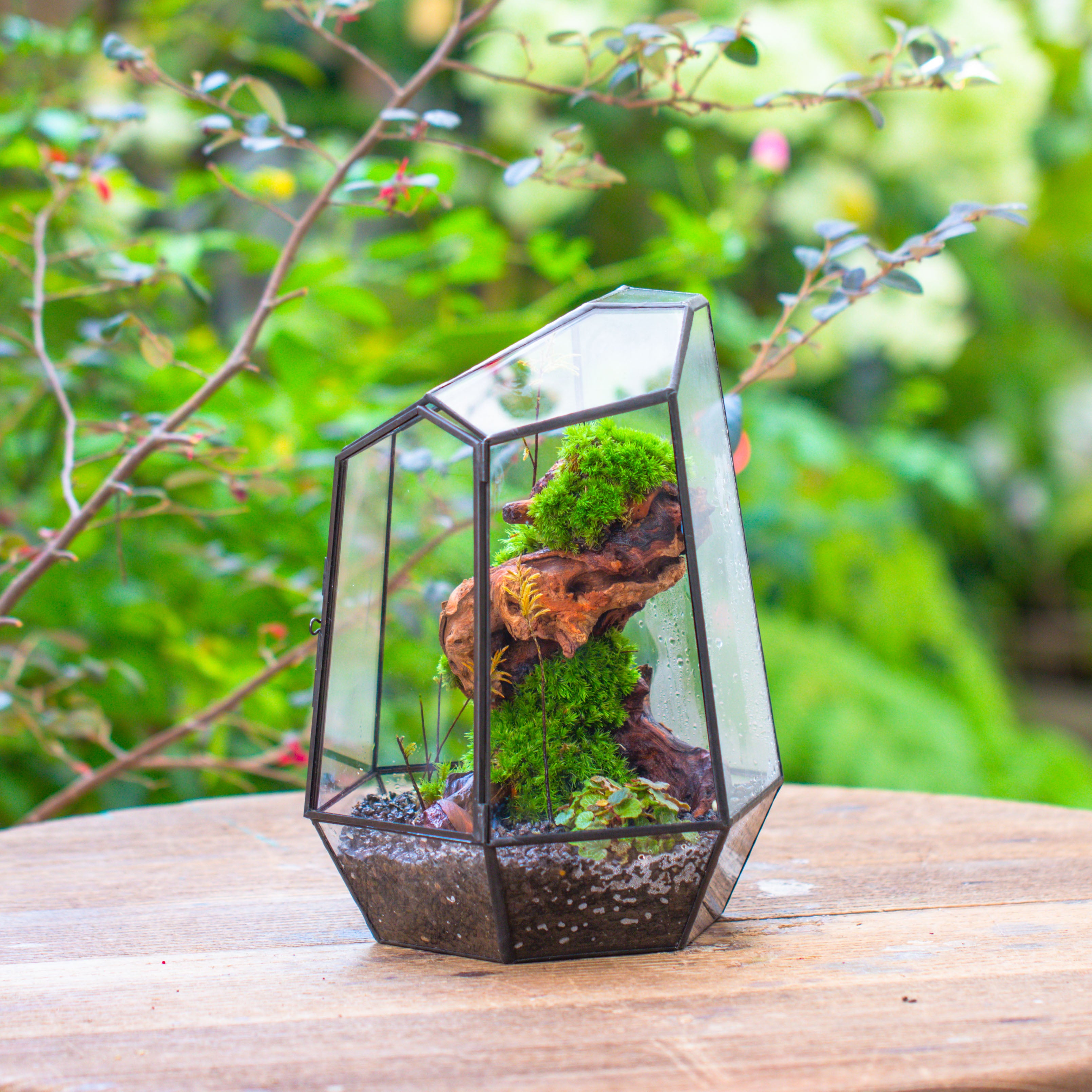 NCYP Large Close Geometric Glass Terrarium with Door, Tin Sealed Irregular Tall Planter for moss Flower Pot - NCYPgarden