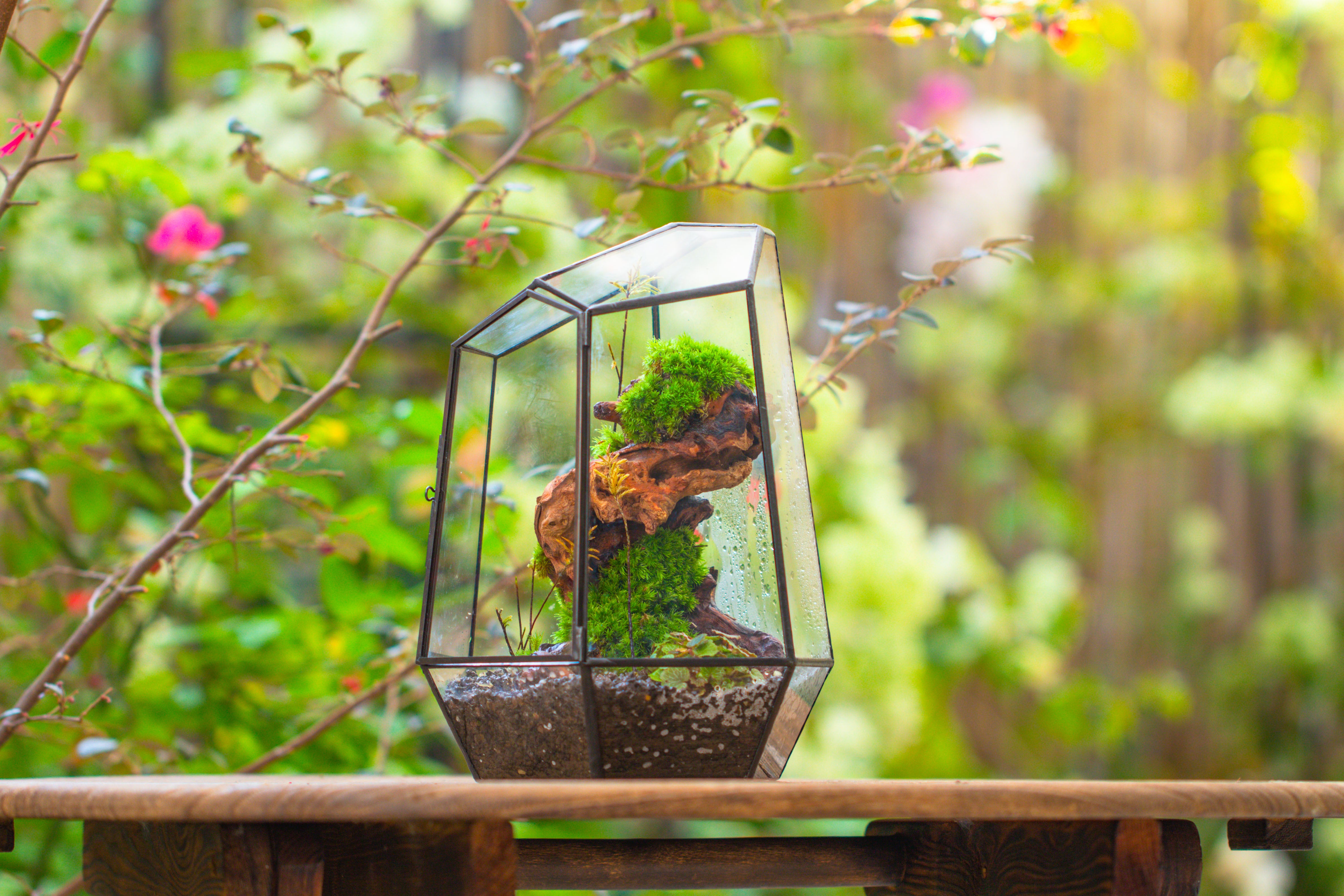 NCYP Large Close Geometric Glass Terrarium with Door, Tin Sealed Irregular Tall Planter for moss Flower Pot - NCYPgarden