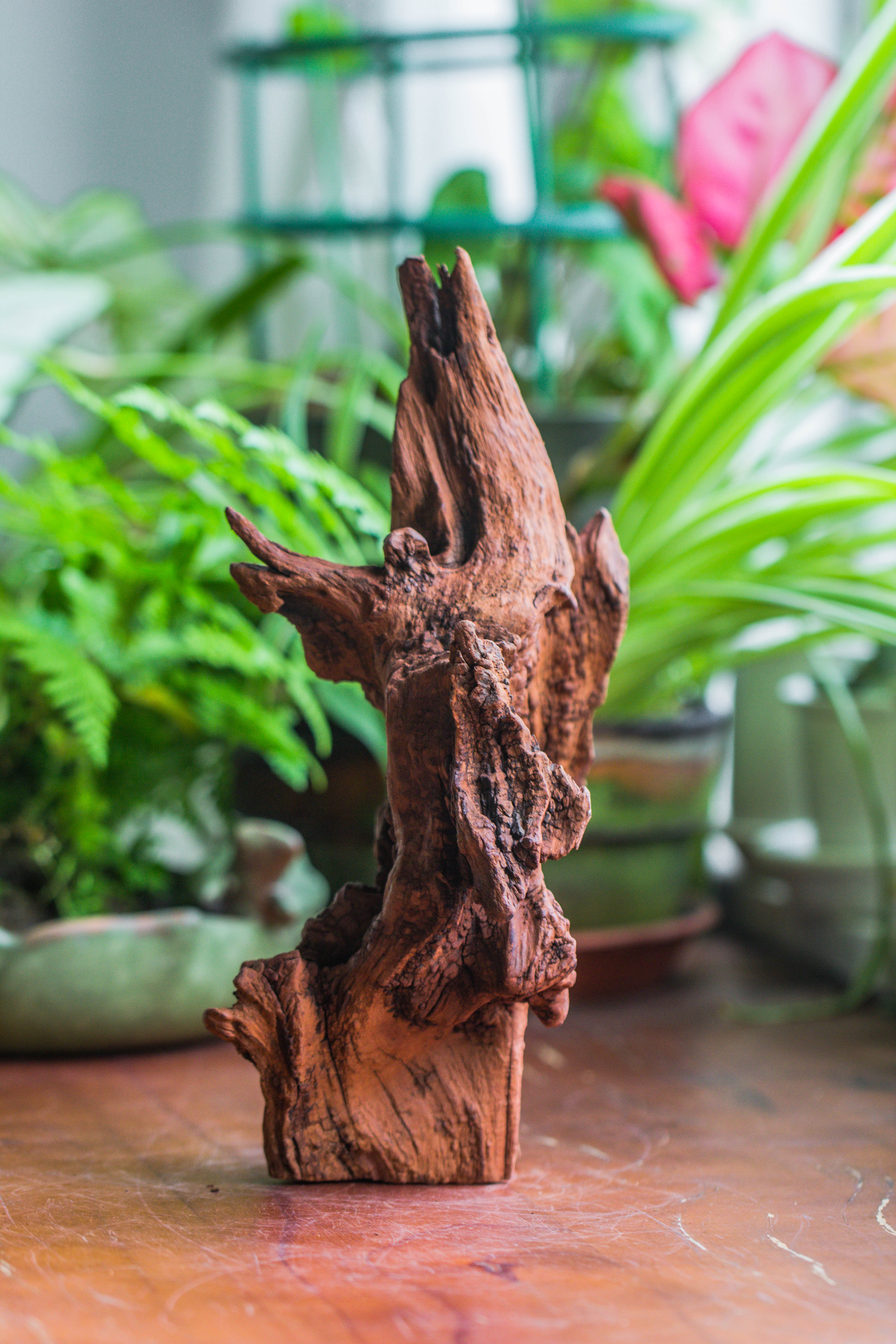 Copy of Natural driftwood for moss terrarium, miniature, micro landscape, unique  10-33, suitable for both live and preserved moss - NCYPgarden