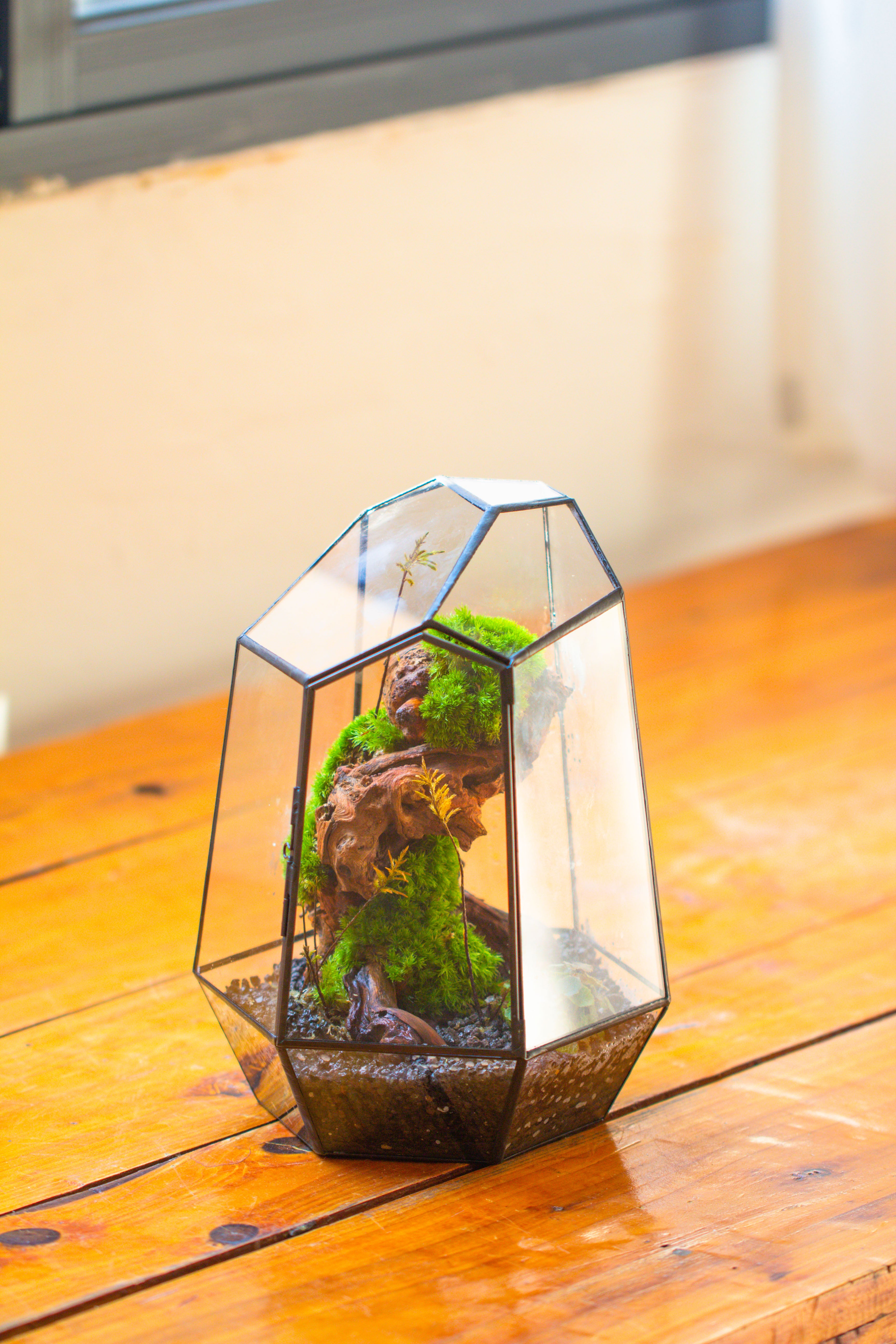 NCYP Large Close Geometric Glass Terrarium with Door, Tin Sealed Irregular Tall Planter for moss Flower Pot - NCYPgarden