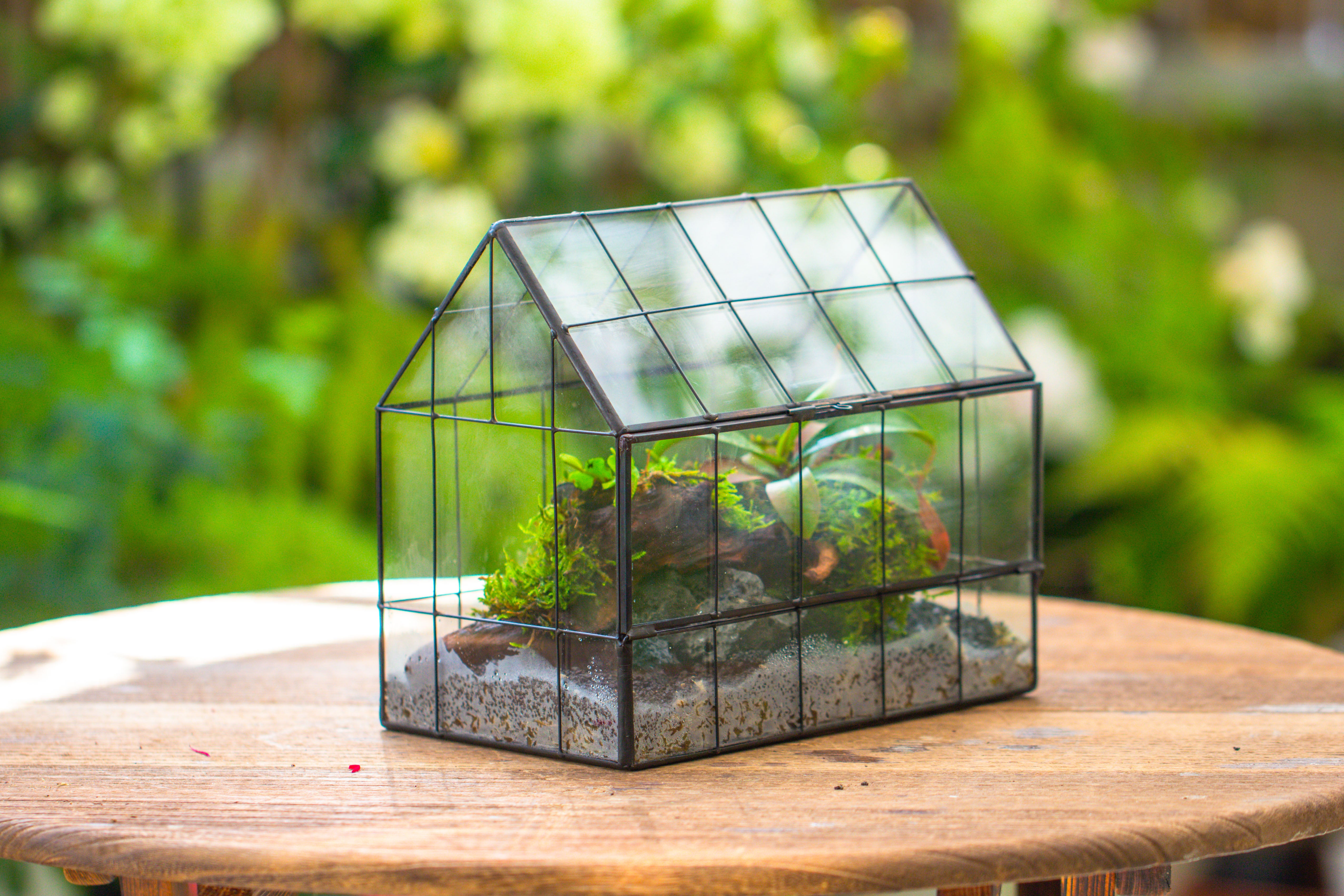 Vintge Greenhouse inspired tin and glass geometric Terrarium, side door, Close, for moss, fern, shade plants, micro landscape - NCYPgarden