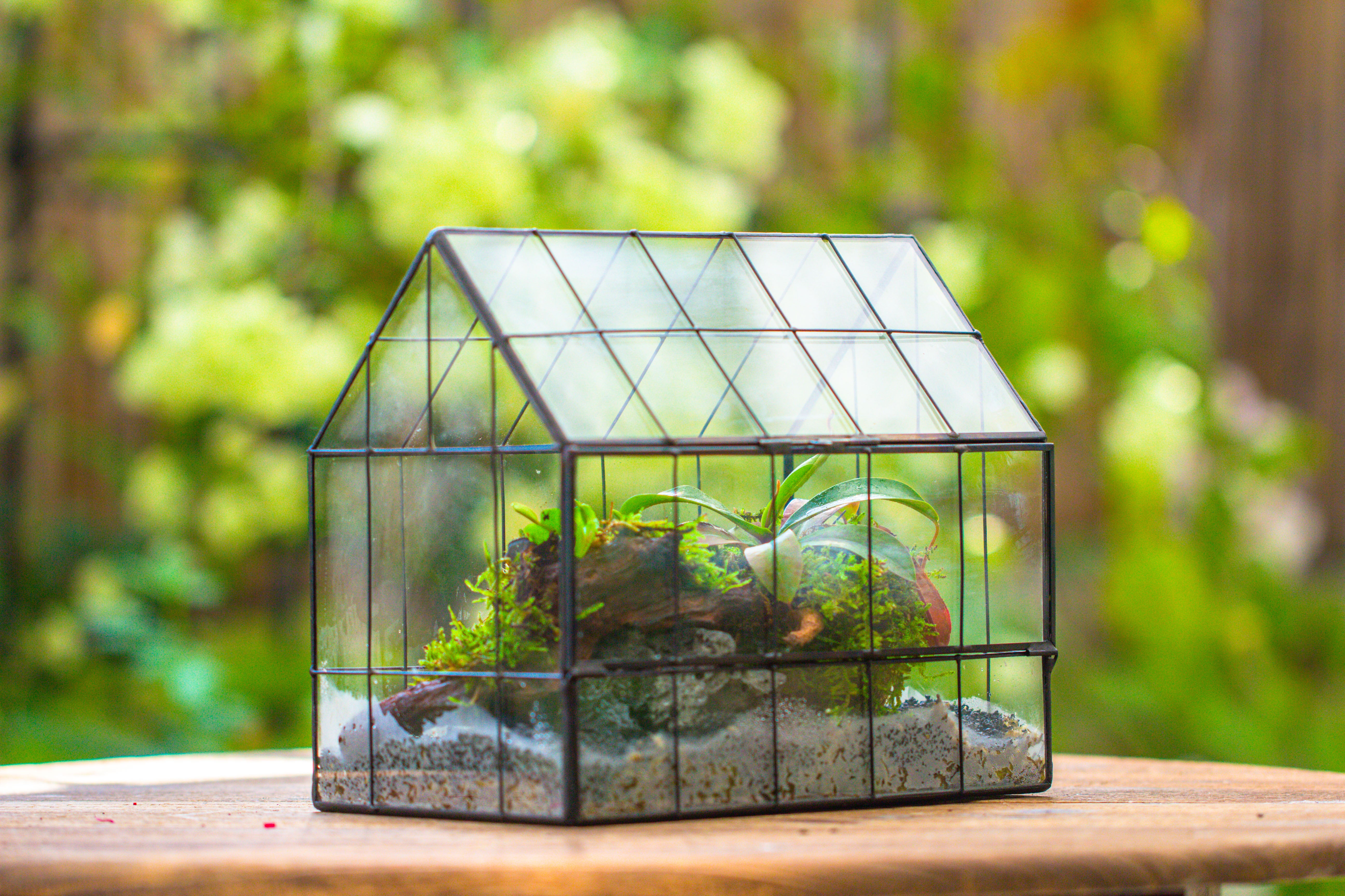 Vintge Greenhouse inspired tin and glass geometric Terrarium, side door, Close, for moss, fern, shade plants, micro landscape - NCYPgarden