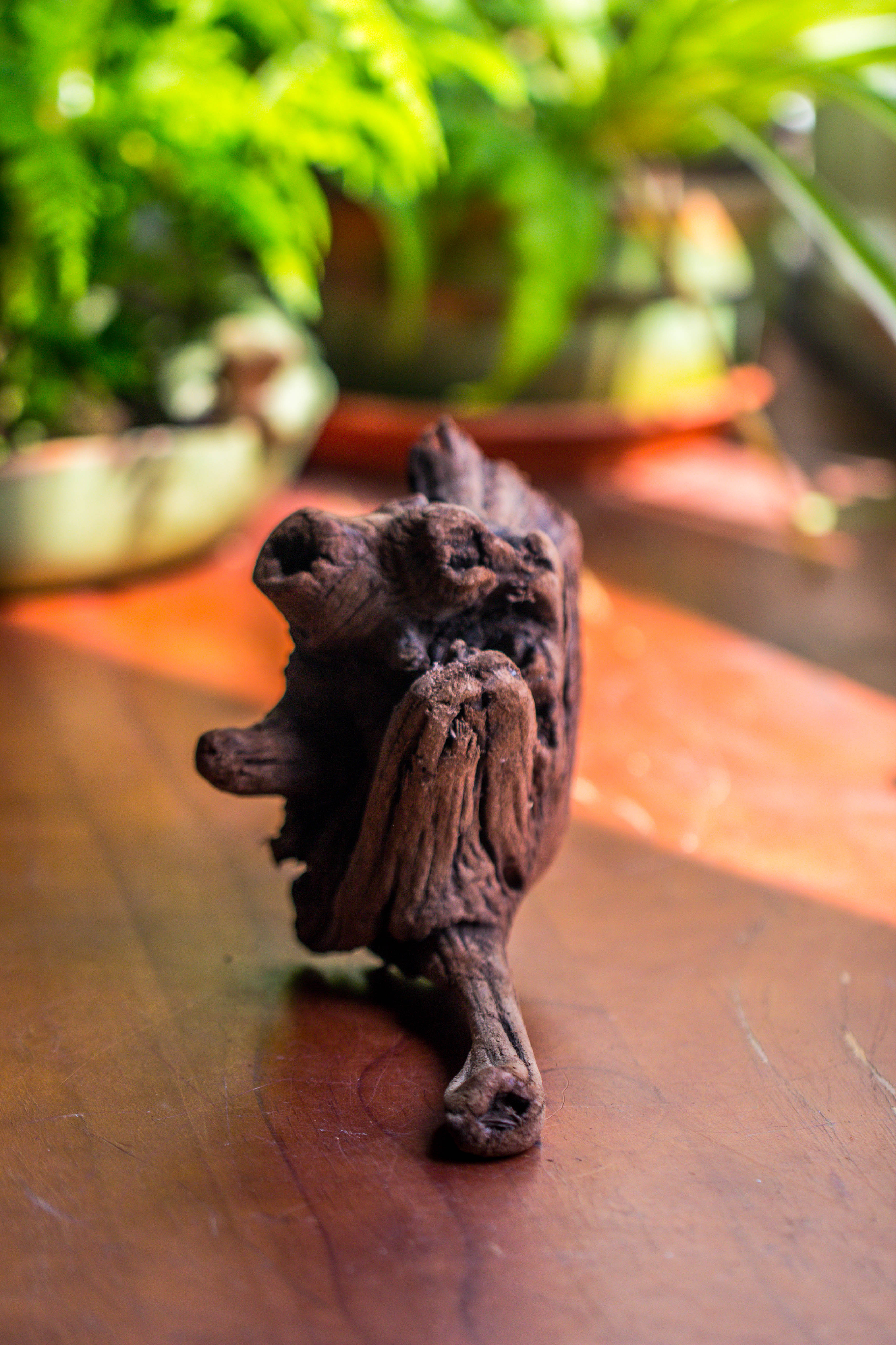 Copy of Natural driftwood for moss terrarium, miniature, micro landscape, unique  10-54, suitable for both live and preserved moss - NCYPgarden