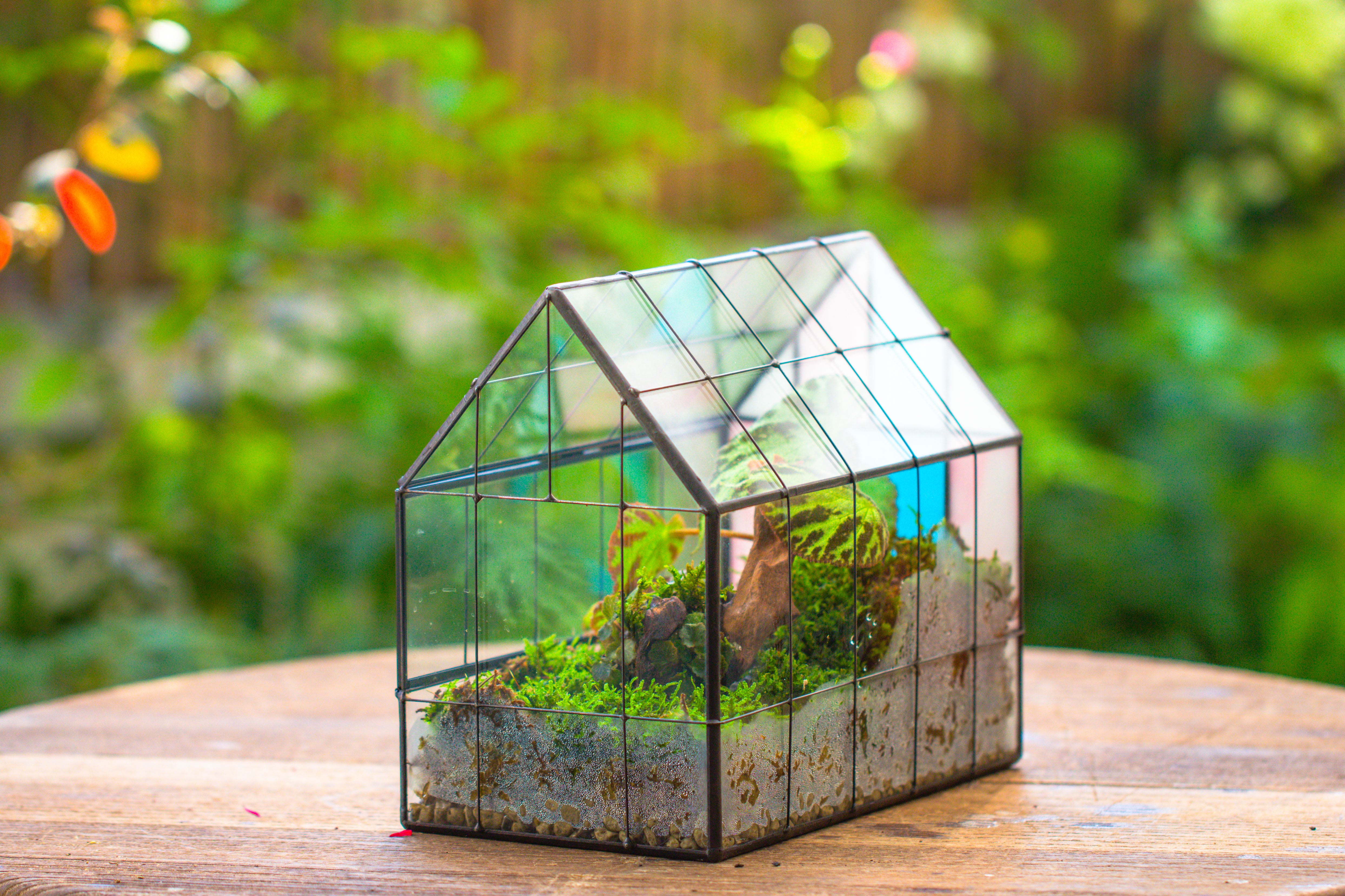 Blue Pink White  Stained Glass House Shape Geometric Terrarium, Vintage Style, Close - NCYPgarden