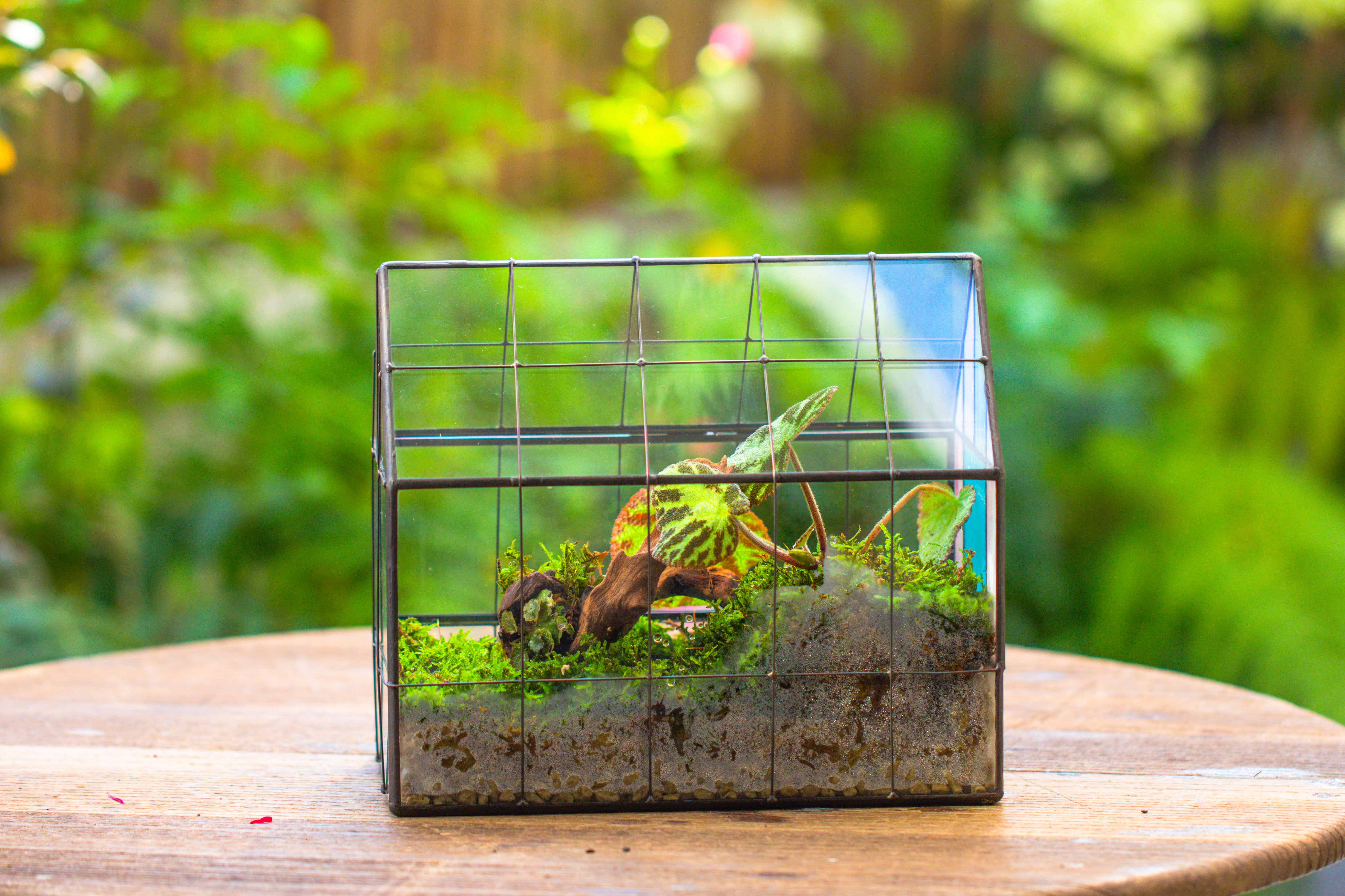 Blue Pink White  Stained Glass House Shape Geometric Terrarium, Vintage Style, Close - NCYPgarden