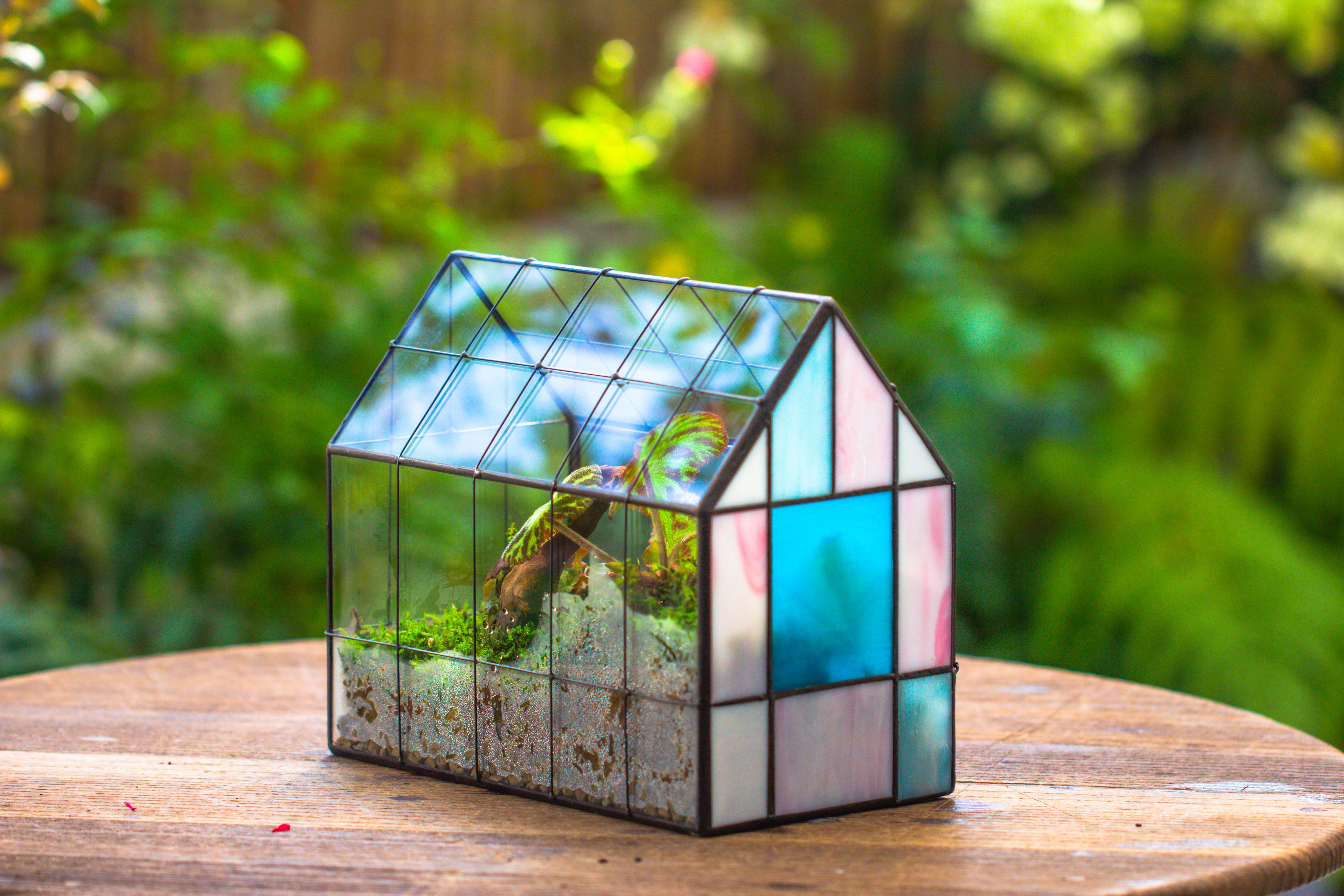 Blue Pink White  Stained Glass House Shape Geometric Terrarium, Vintage Style, Close - NCYPgarden