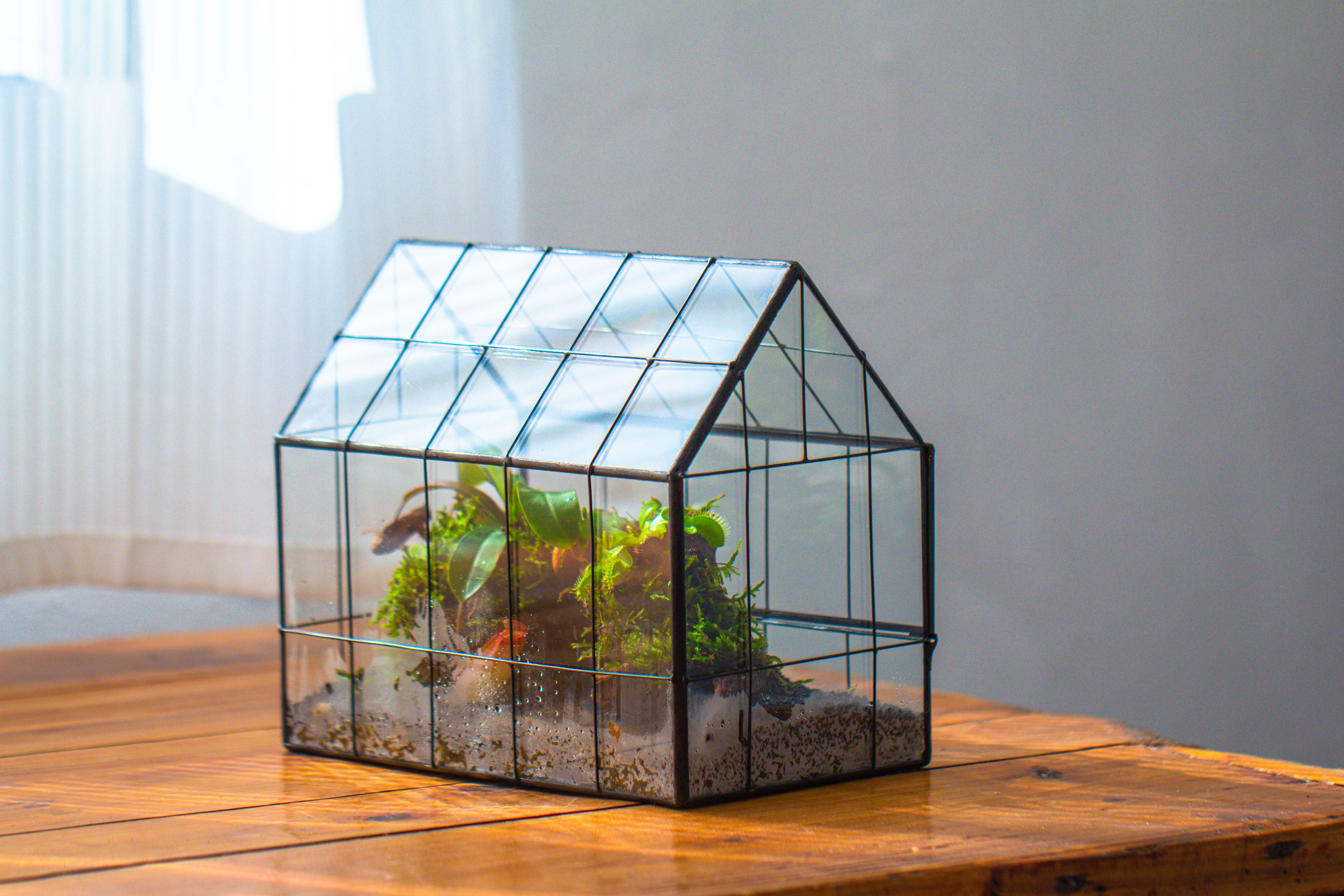 Vintge Greenhouse inspired tin and glass geometric Terrarium, side door, Close, for moss, fern, shade plants, micro landscape - NCYPgarden