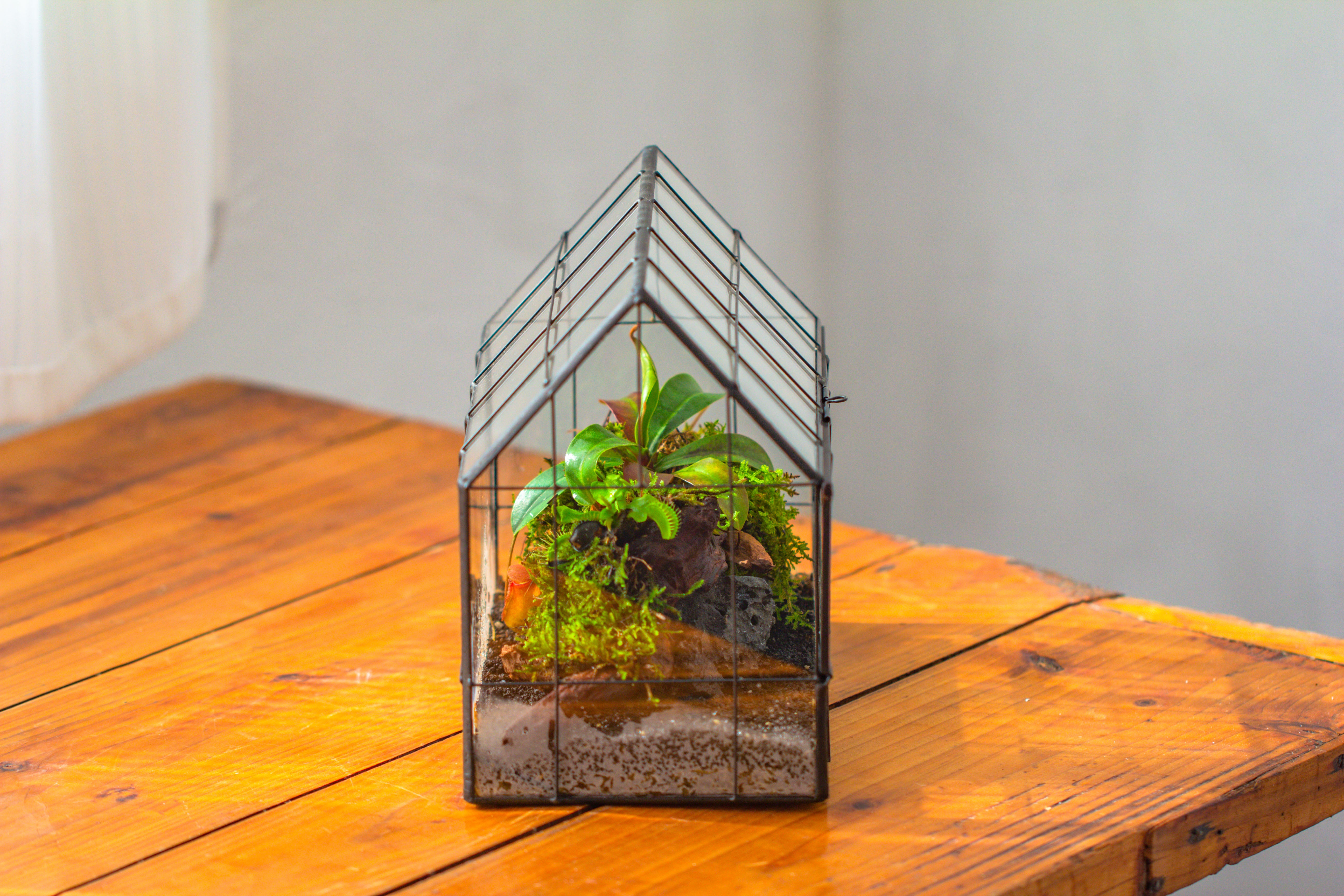 Vintge Greenhouse inspired tin and glass geometric Terrarium, side door, Close, for moss, fern, shade plants, micro landscape - NCYPgarden