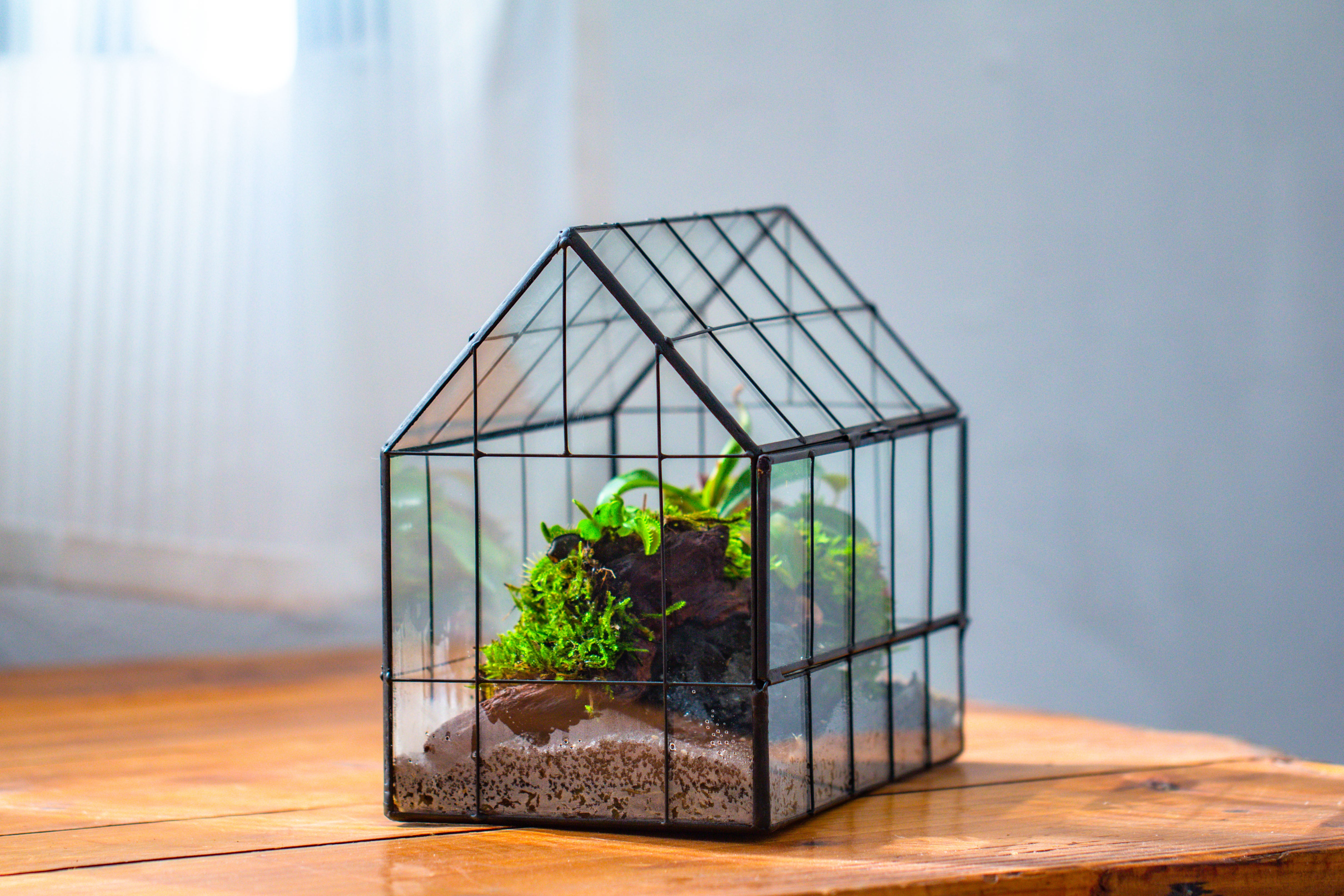 Vintge Greenhouse inspired tin and glass geometric Terrarium, side door, Close, for moss, fern, shade plants, micro landscape - NCYPgarden