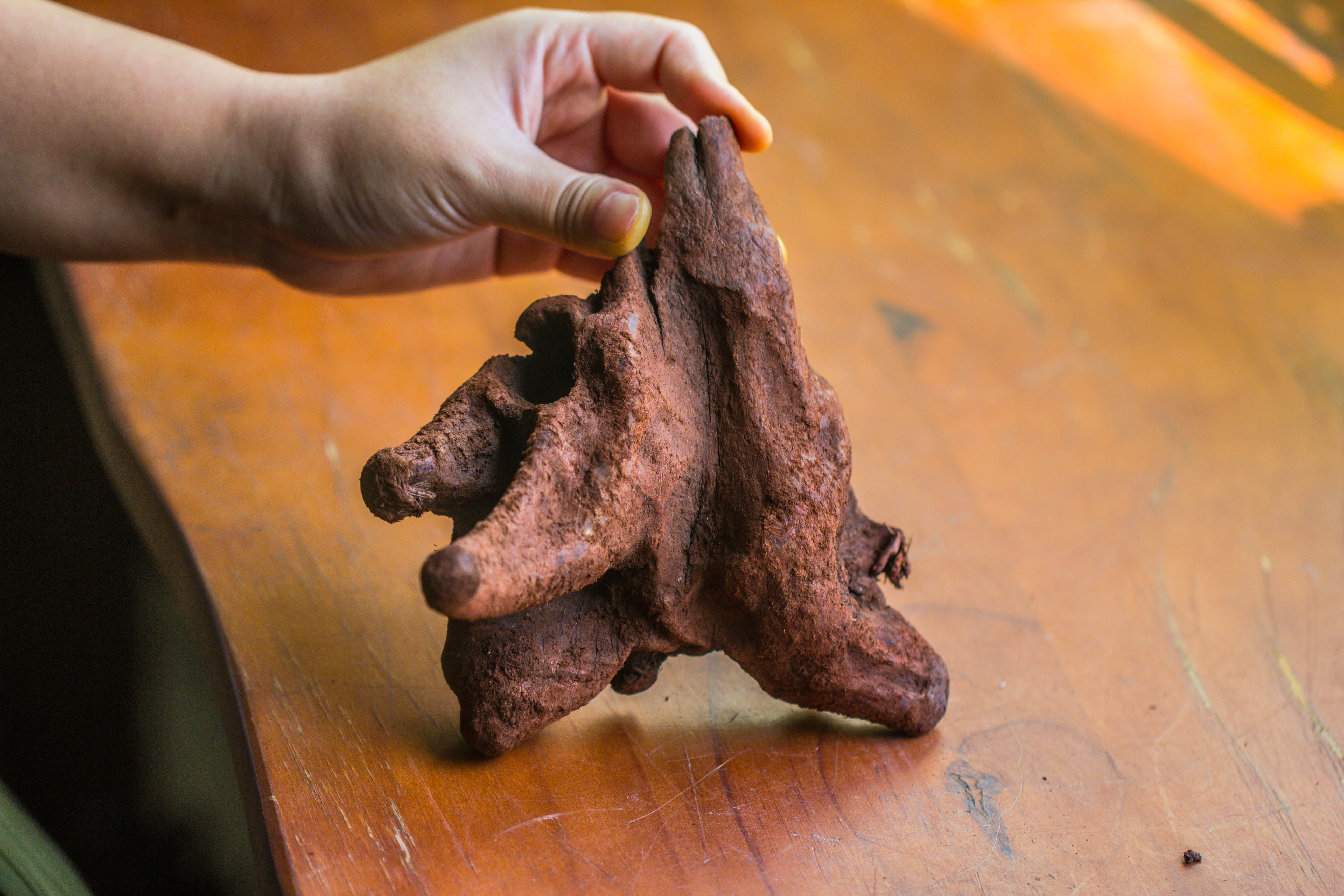 Copy of Natural driftwood for moss terrarium, miniature, micro landscape, unique  10-50, suitable for both live and preserved moss - NCYPgarden