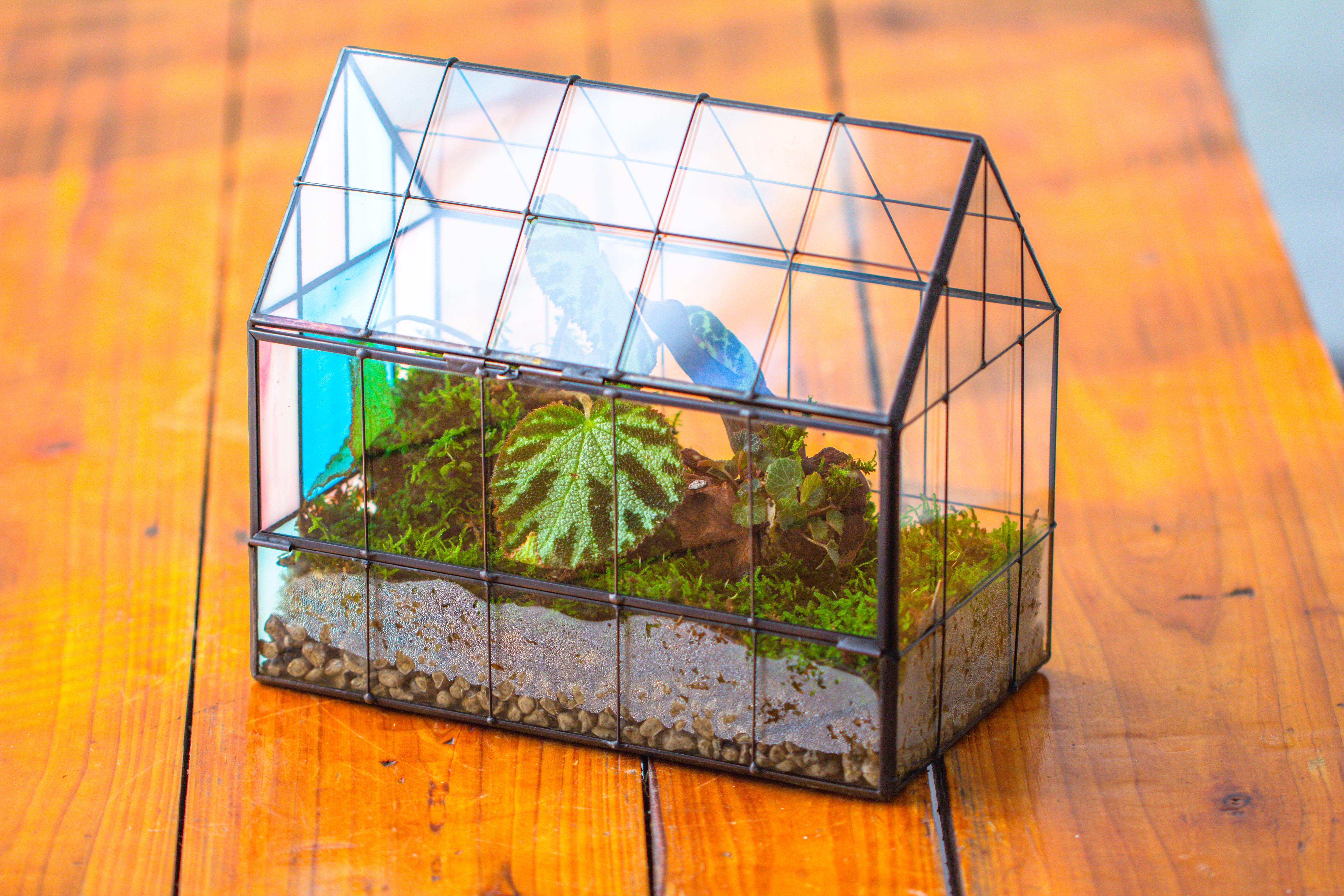 Blue Pink White  Stained Glass House Shape Geometric Terrarium, Vintage Style, Close - NCYPgarden