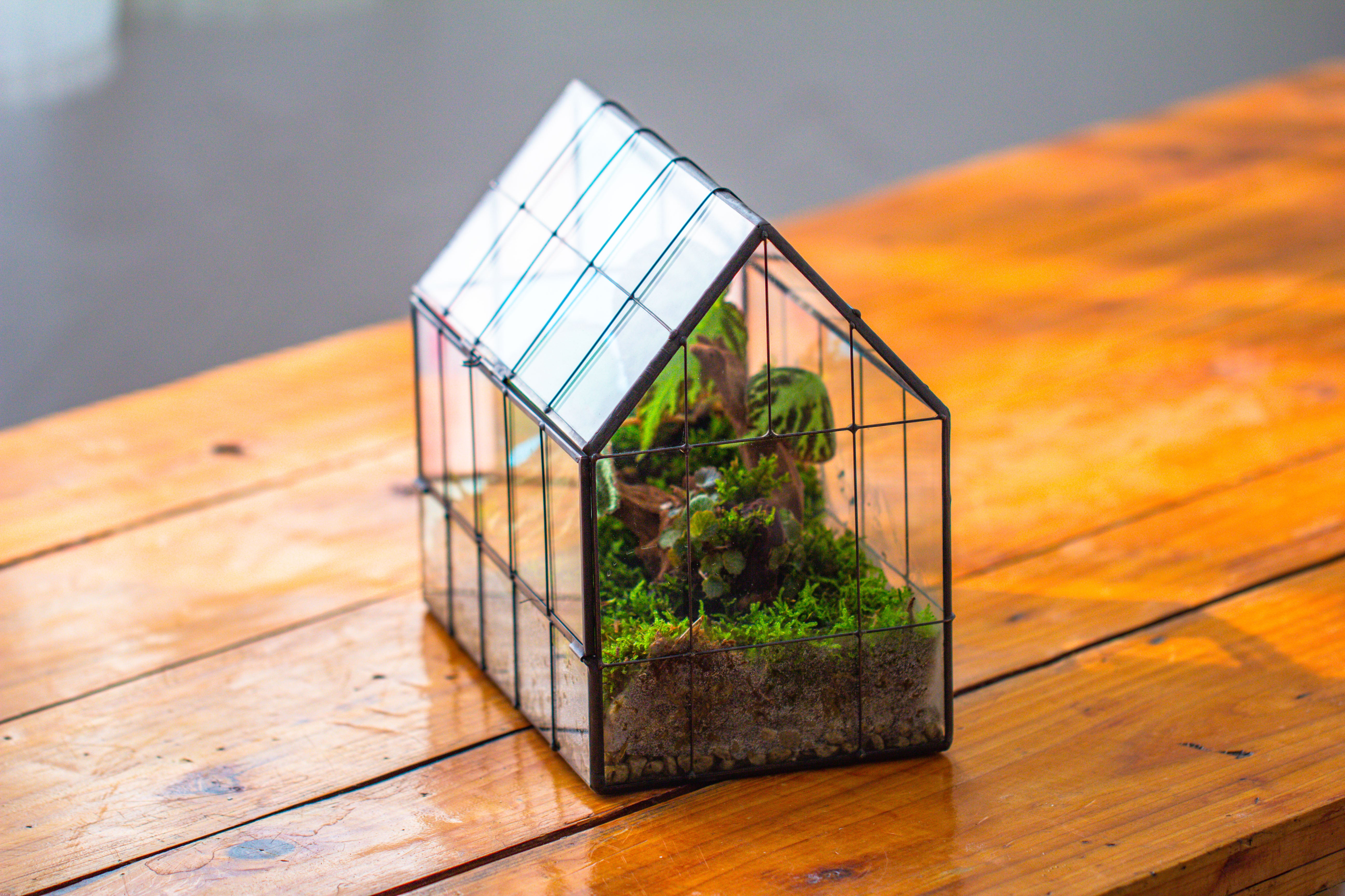 Blue Pink White  Stained Glass House Shape Geometric Terrarium, Vintage Style, Close - NCYPgarden