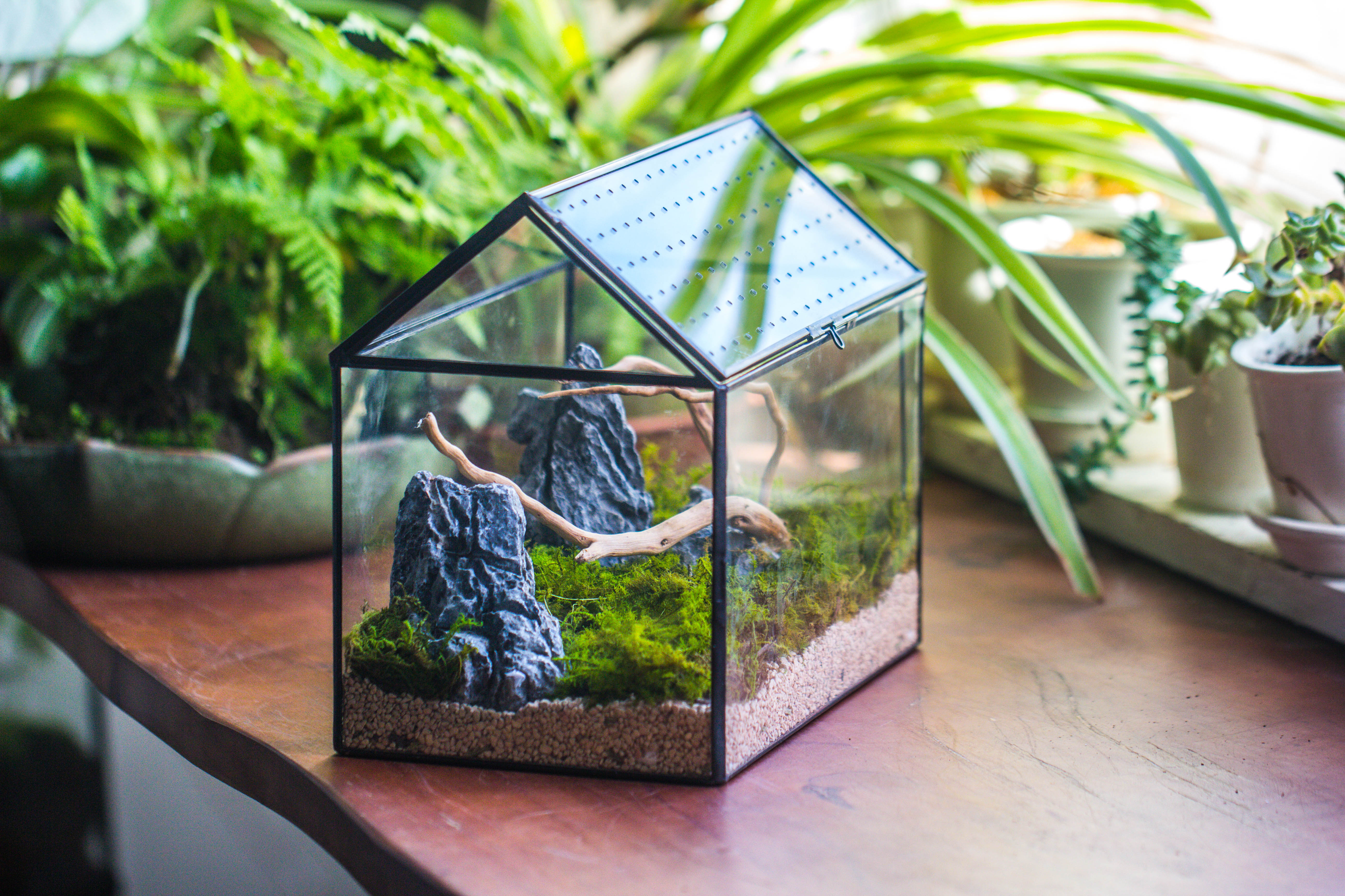 Handmade Close House-shaped Glass Terrarium Enclosure, with Acrylic Mesh Vent, for Jumping Spider, Snail Habitat, Terrarium Only - NCYPgarden