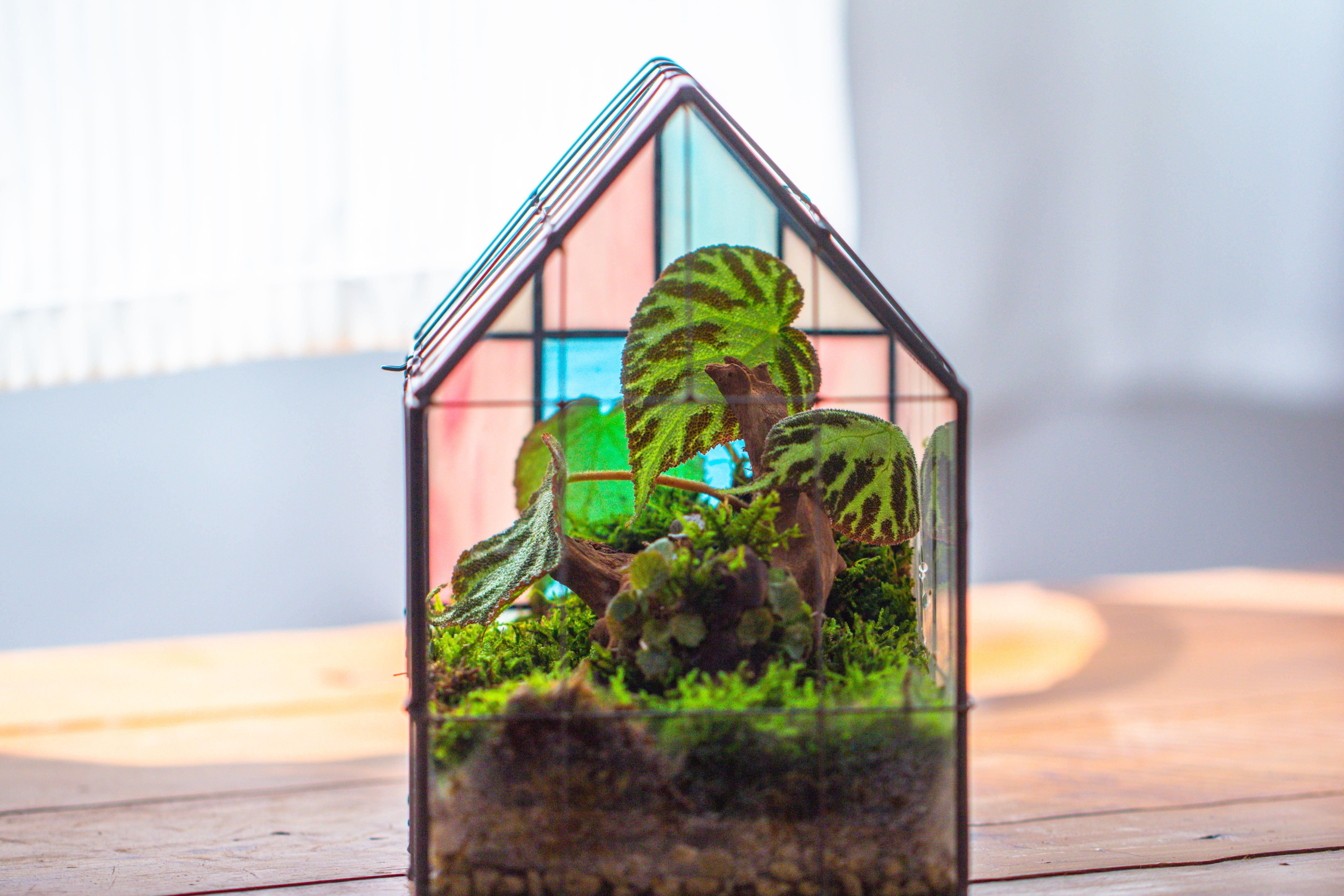 Blue Pink White  Stained Glass House Shape Geometric Terrarium, Vintage Style, Close - NCYPgarden