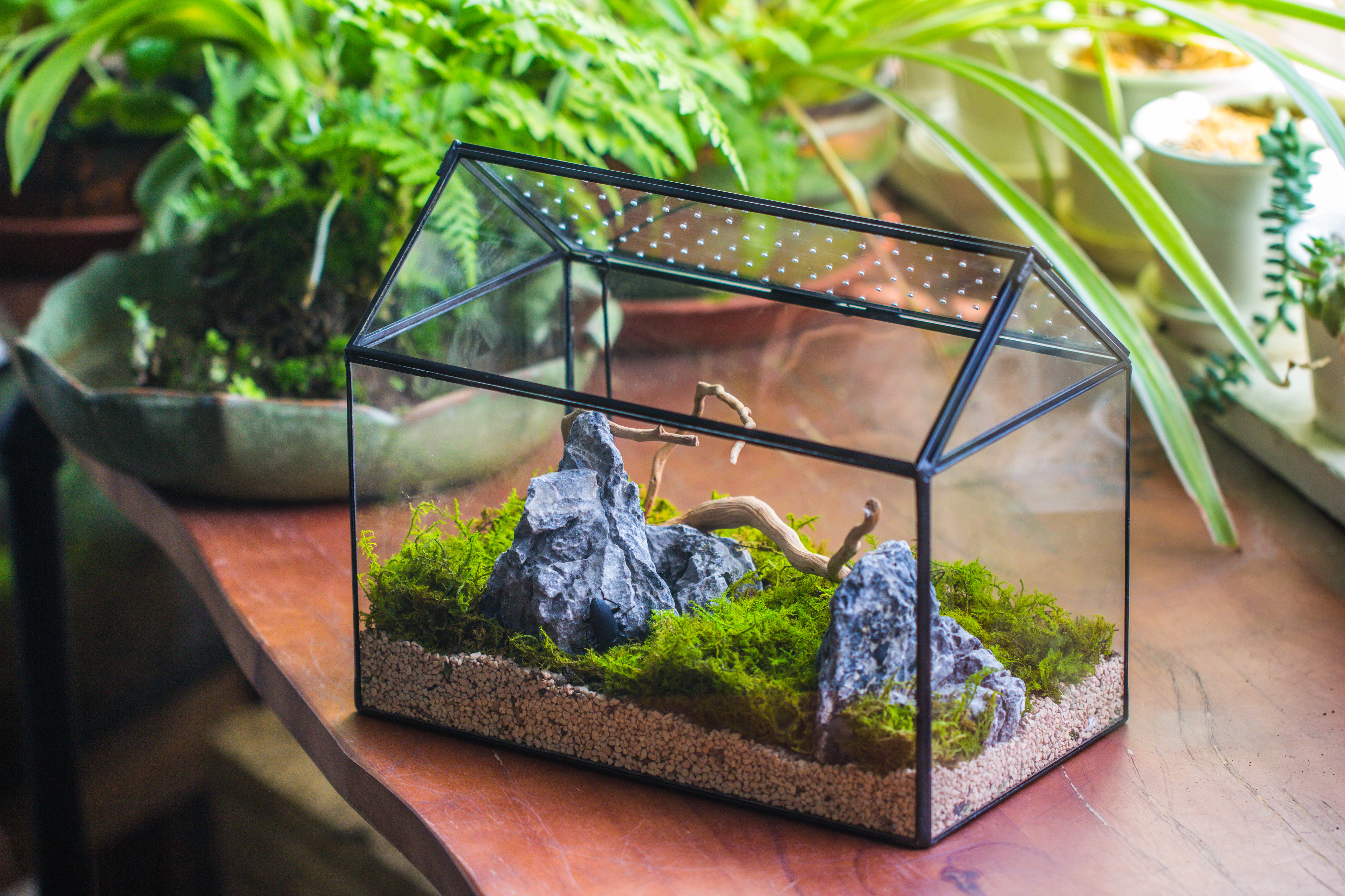 Handmade Close House-shaped Glass Terrarium Enclosure, with Acrylic Mesh Vent, for Jumping Spider, Snail Habitat, Terrarium Only - NCYPgarden