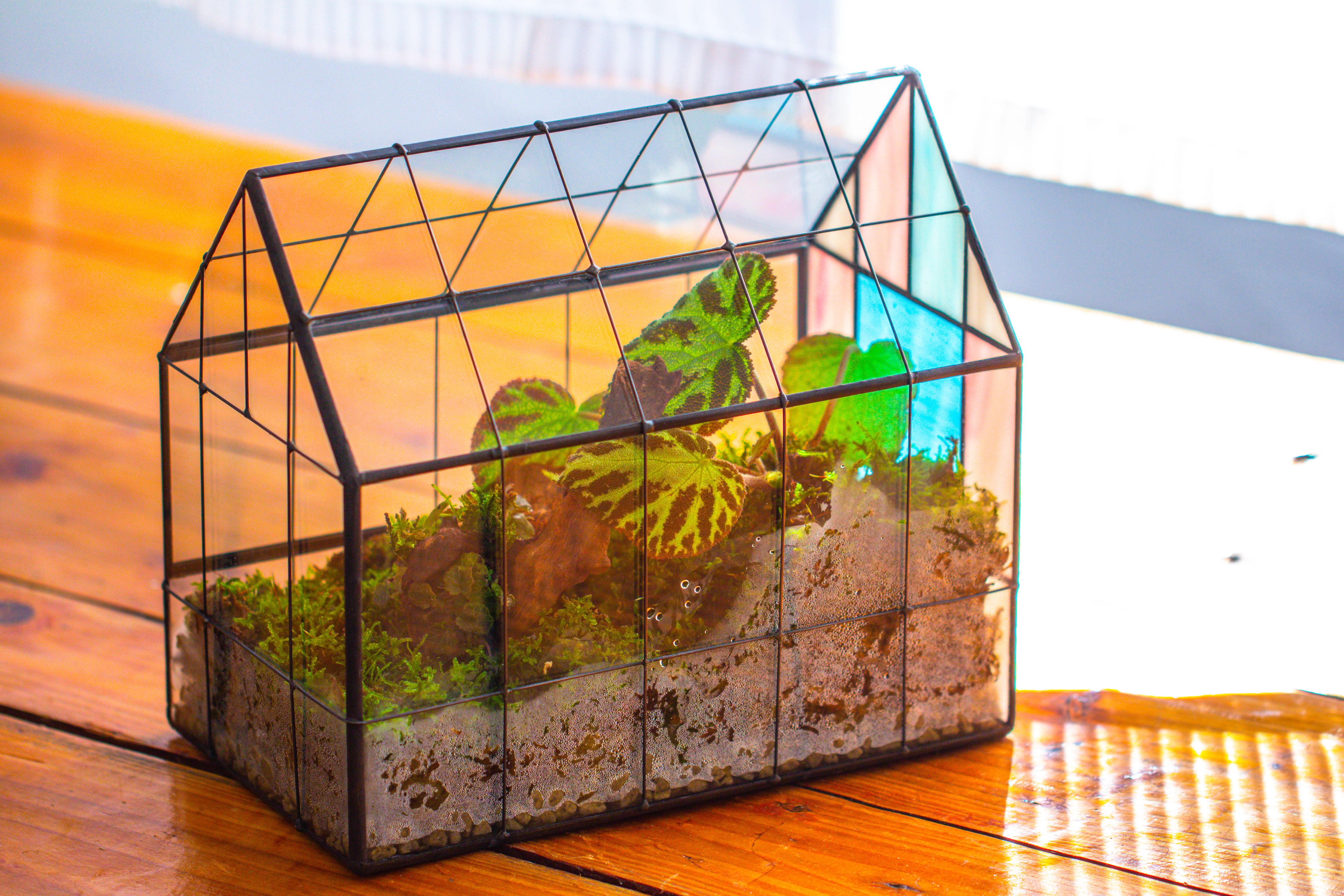 Blue Pink White  Stained Glass House Shape Geometric Terrarium, Vintage Style, Close - NCYPgarden