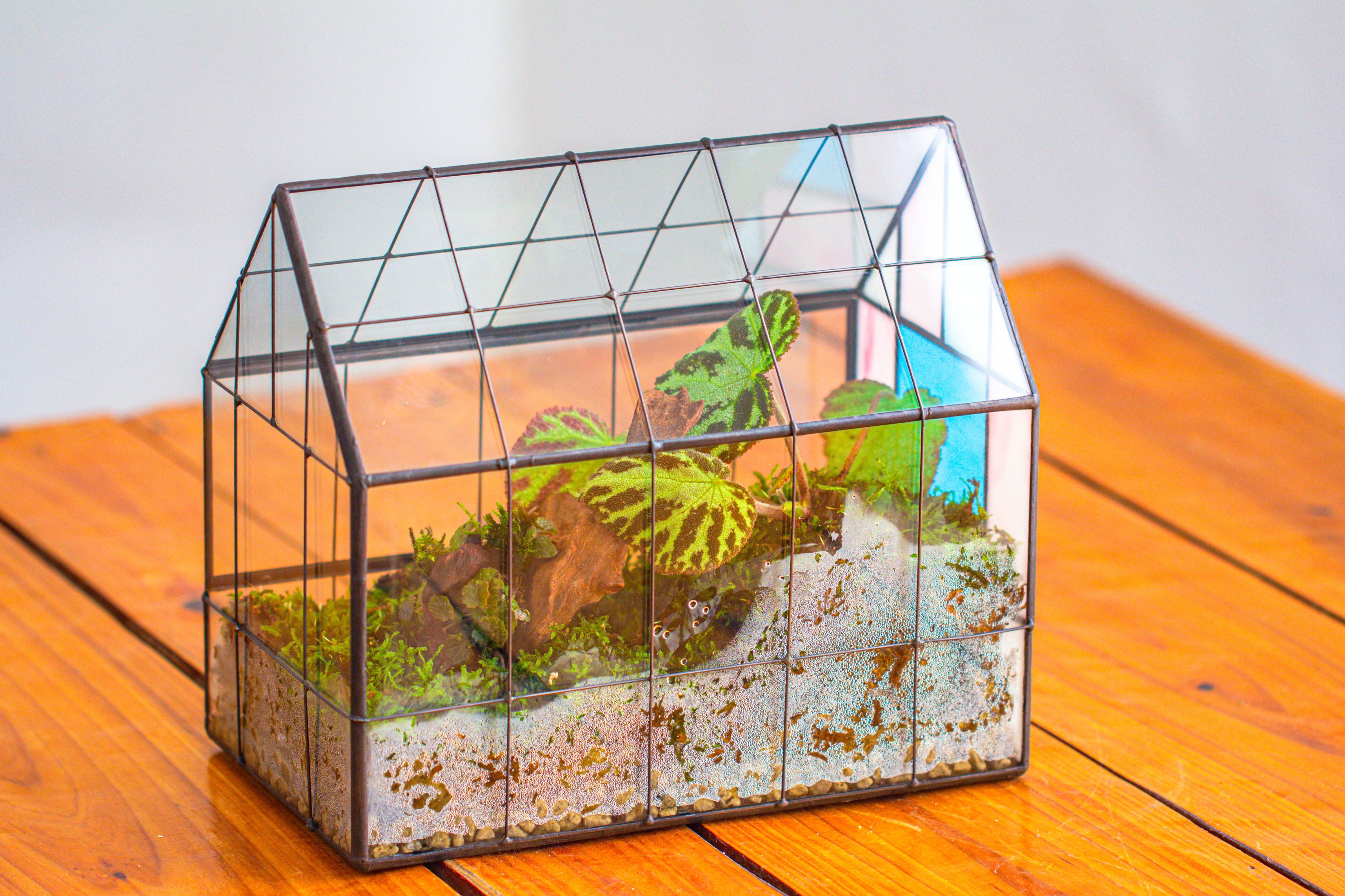 Blue Pink White  Stained Glass House Shape Geometric Terrarium, Vintage Style, Close - NCYPgarden