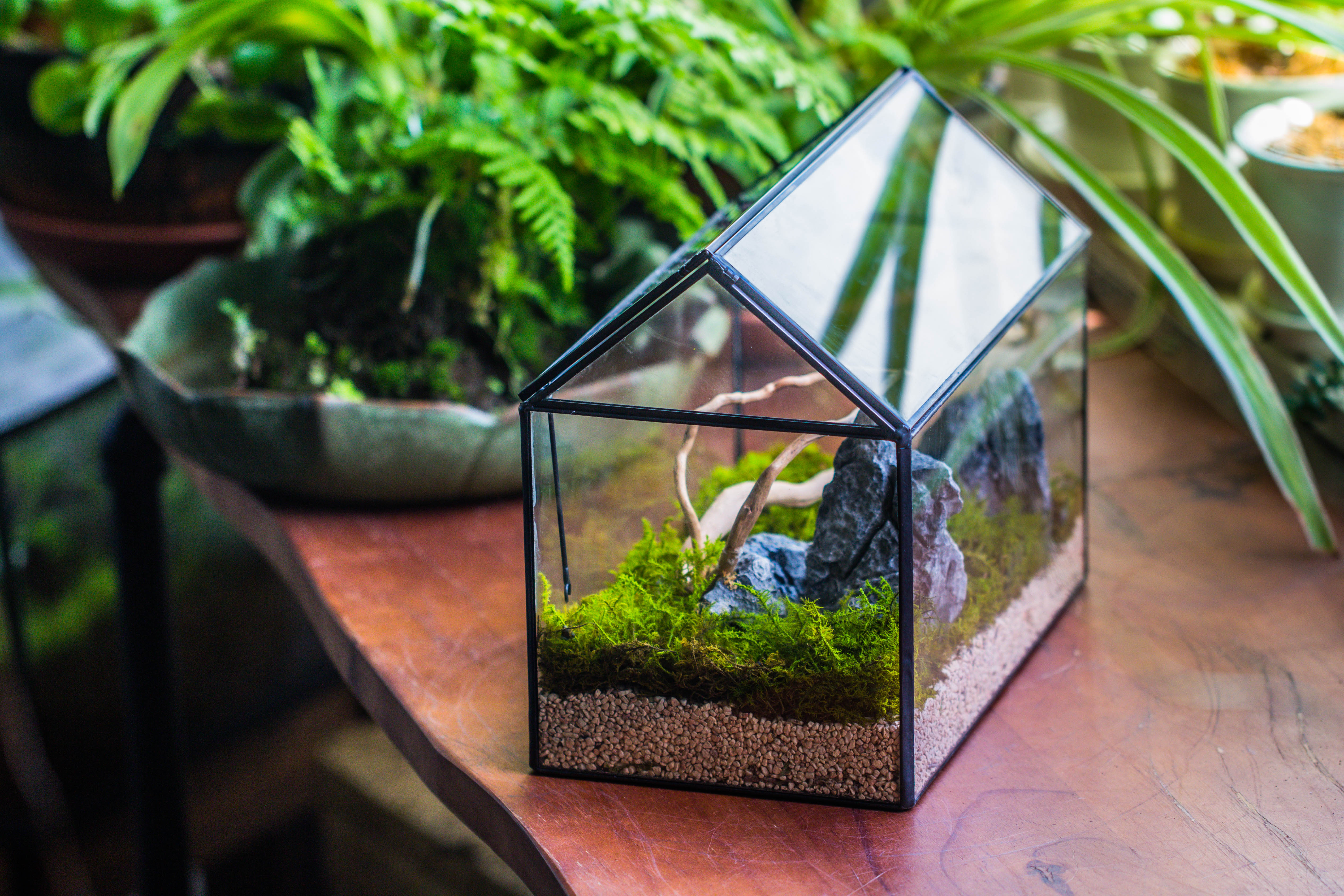 Handmade Close House-shaped Glass Terrarium Enclosure, with Acrylic Mesh Vent, for Jumping Spider, Snail Habitat, Terrarium Only - NCYPgarden