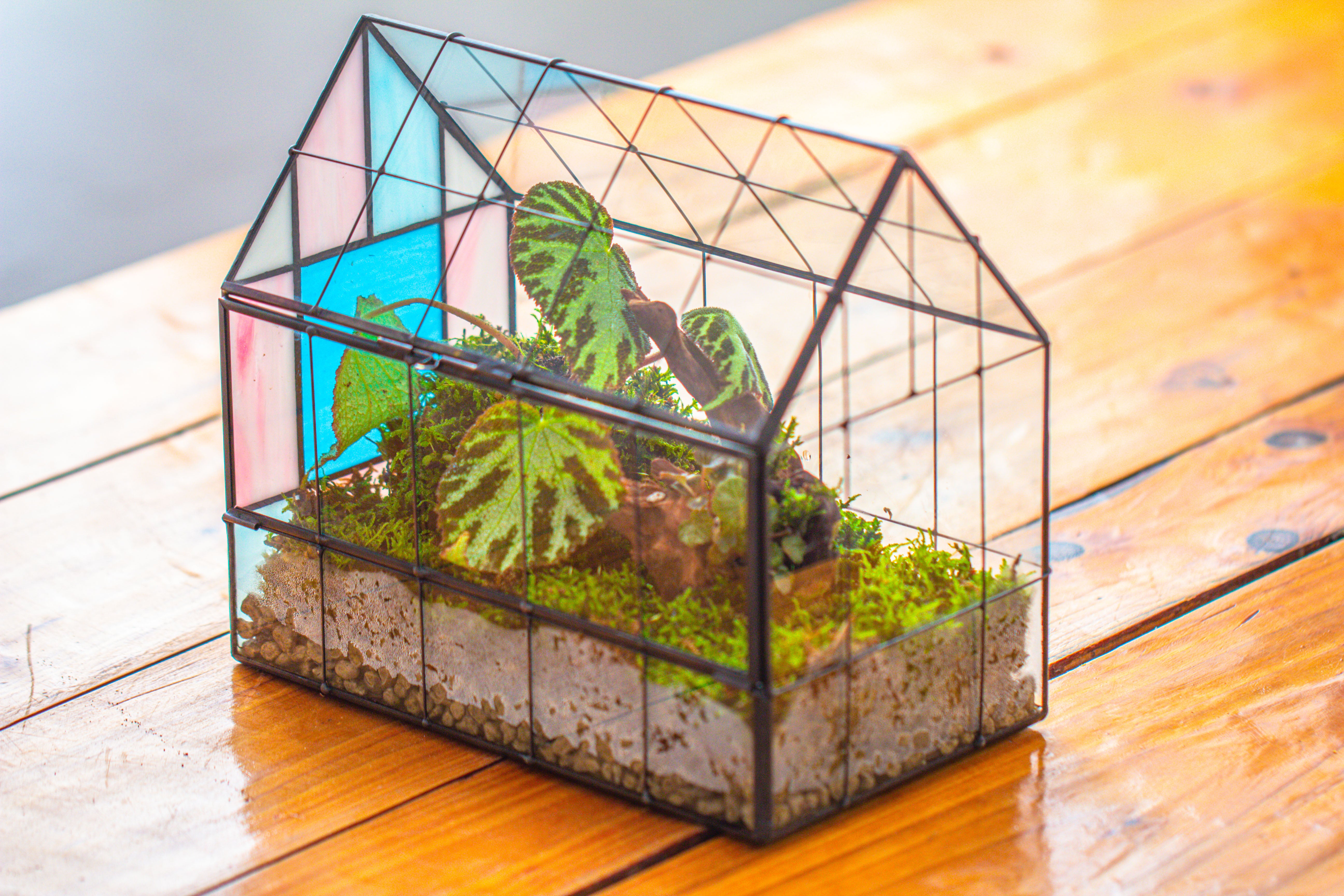 Blue Pink White  Stained Glass House Shape Geometric Terrarium, Vintage Style, Close - NCYPgarden