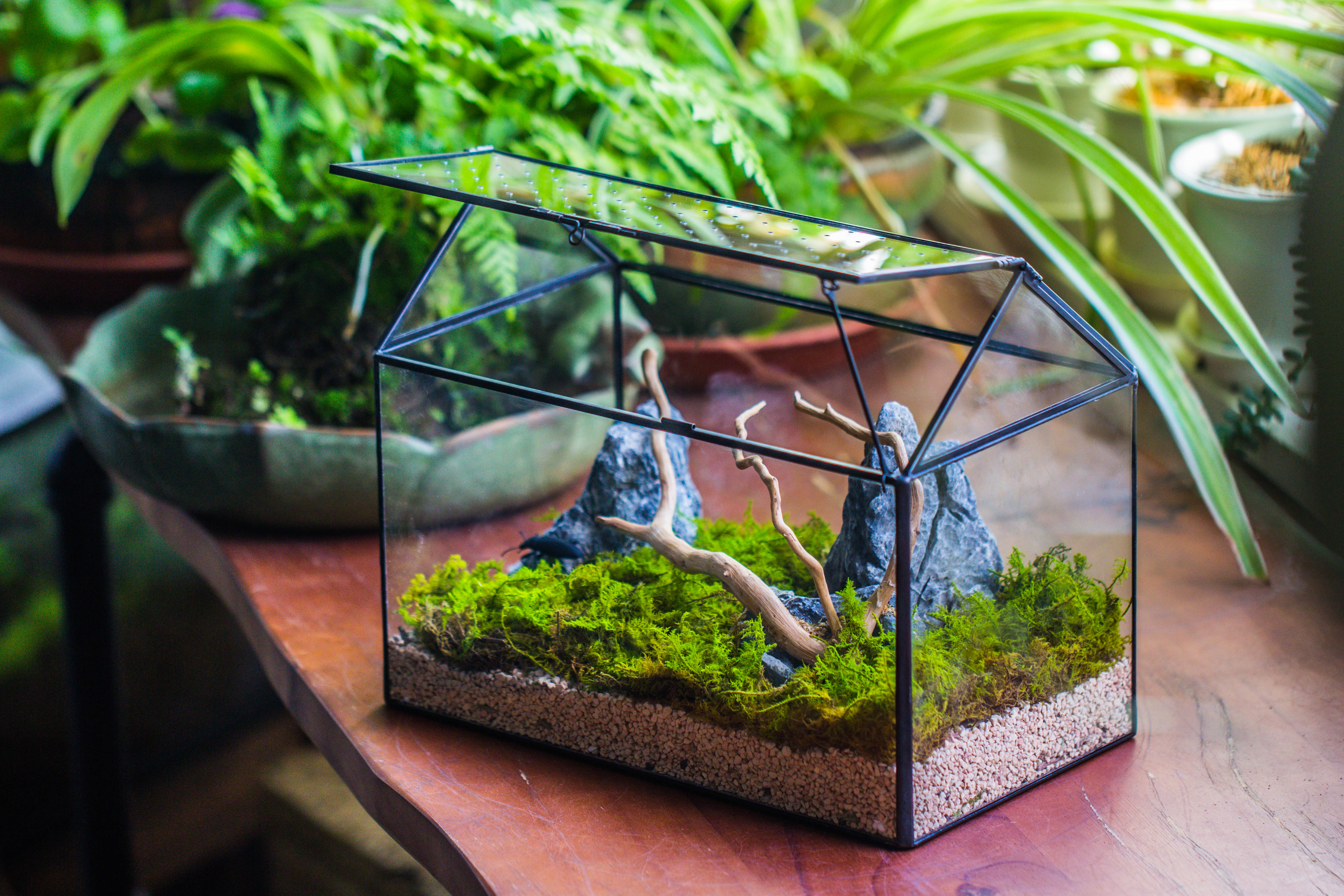 Handmade Close House-shaped Glass Terrarium Enclosure, with Acrylic Mesh Vent, for Jumping Spider, Snail Habitat, Terrarium Only - NCYPgarden