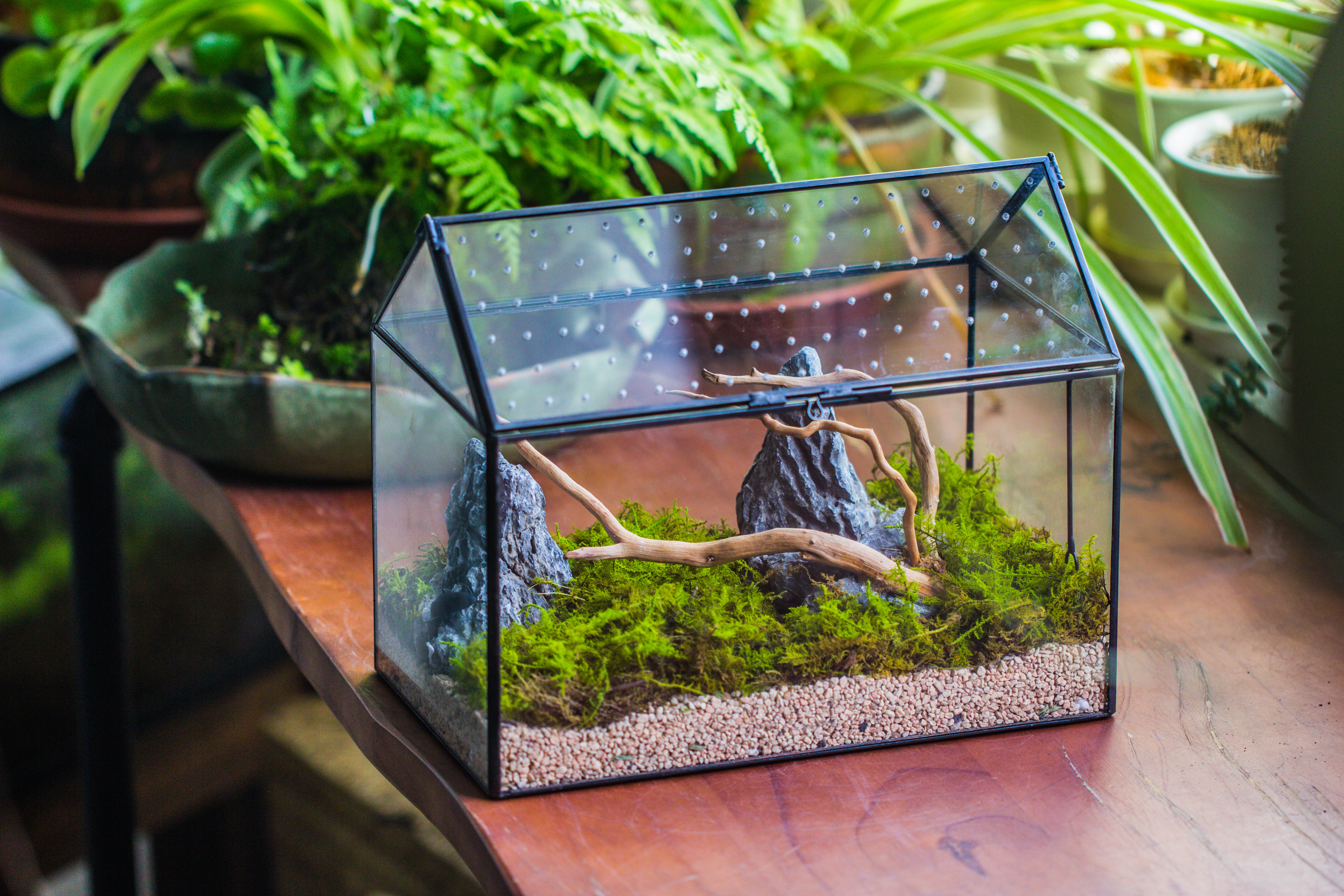 Handmade Close House-shaped Glass Terrarium Enclosure, with Acrylic Mesh Vent, for Jumping Spider, Snail Habitat, Terrarium Only - NCYPgarden