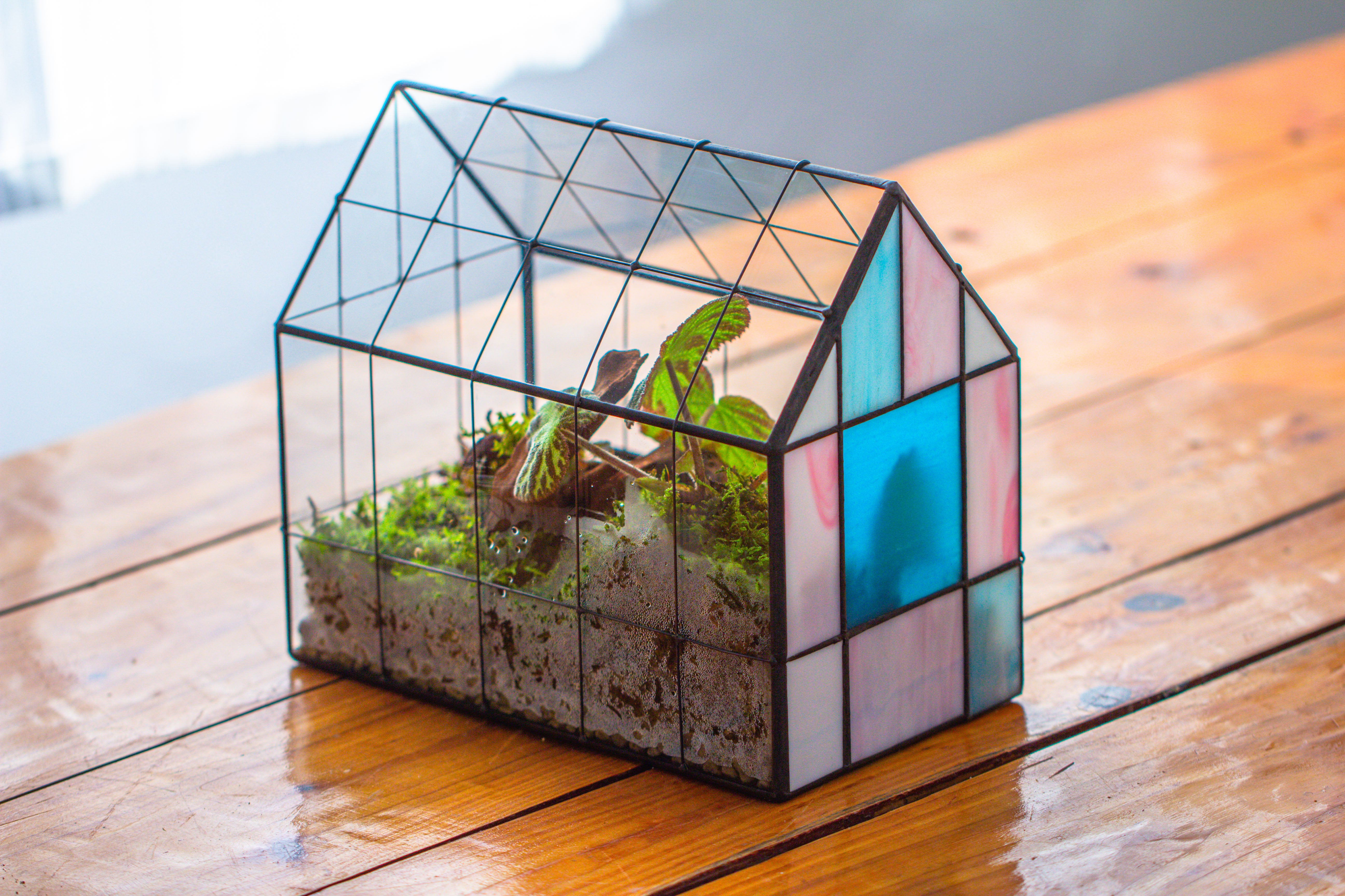 Blue Pink White  Stained Glass House Shape Geometric Terrarium, Vintage Style, Close - NCYPgarden