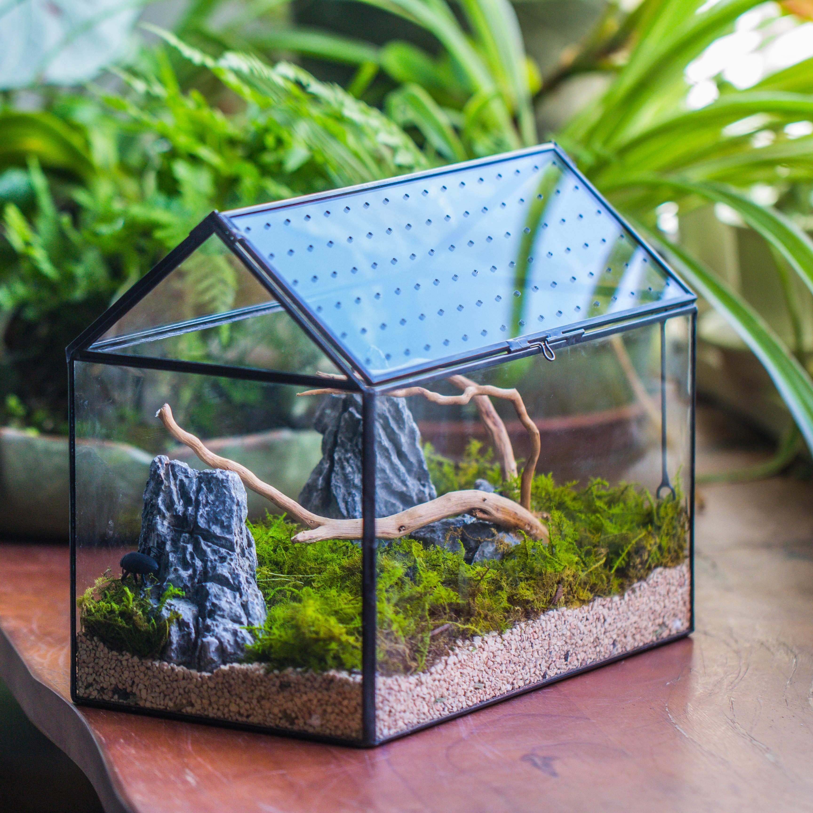Handmade Close House-shaped Glass Terrarium Enclosure, with Acrylic Mesh Vent, for Jumping Spider, Snail Habitat, Terrarium Only - NCYPgarden