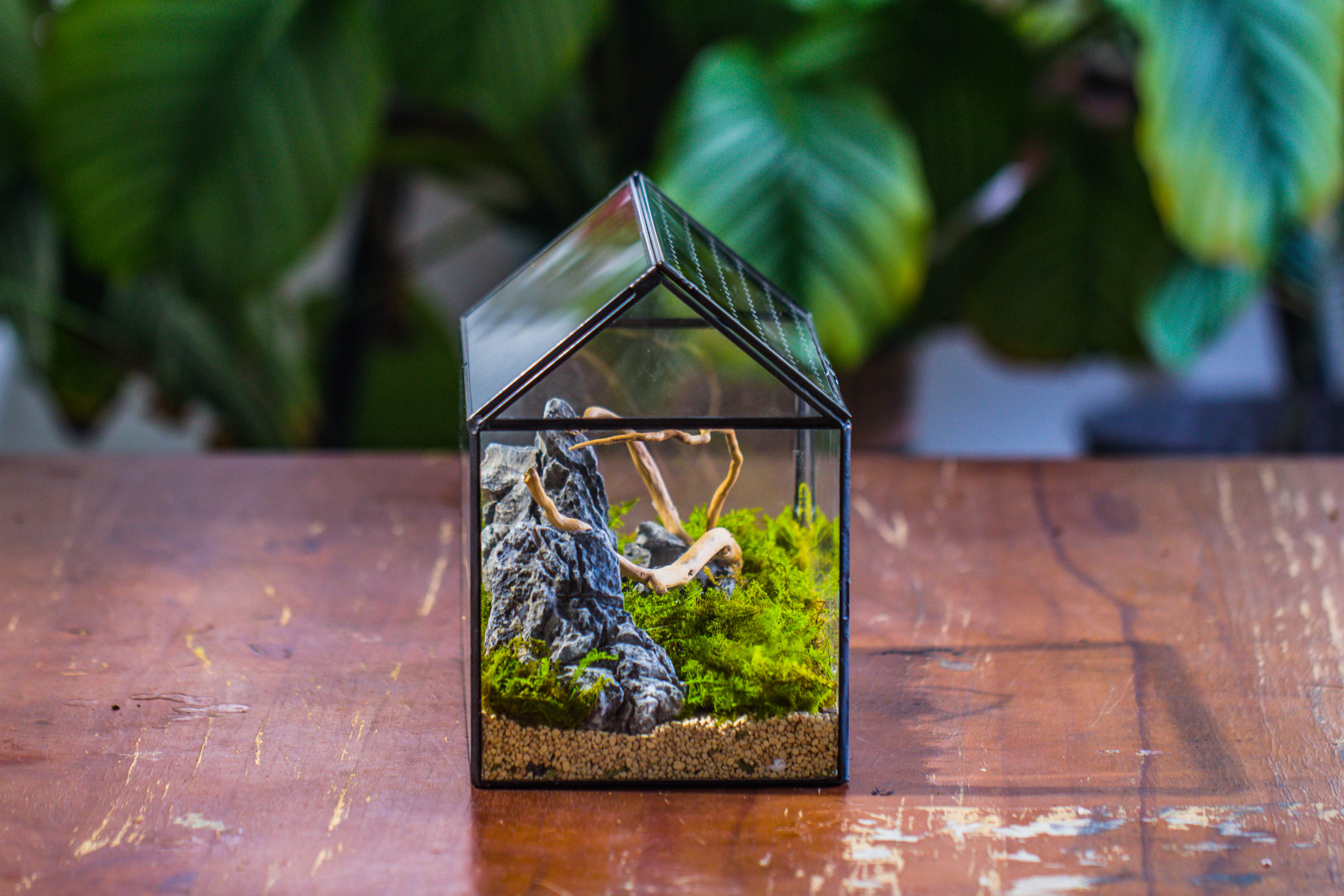 Handmade Close House-shaped Glass Terrarium Enclosure, with Acrylic Mesh Vent, for Jumping Spider, Snail Habitat, Terrarium Only - NCYPgarden