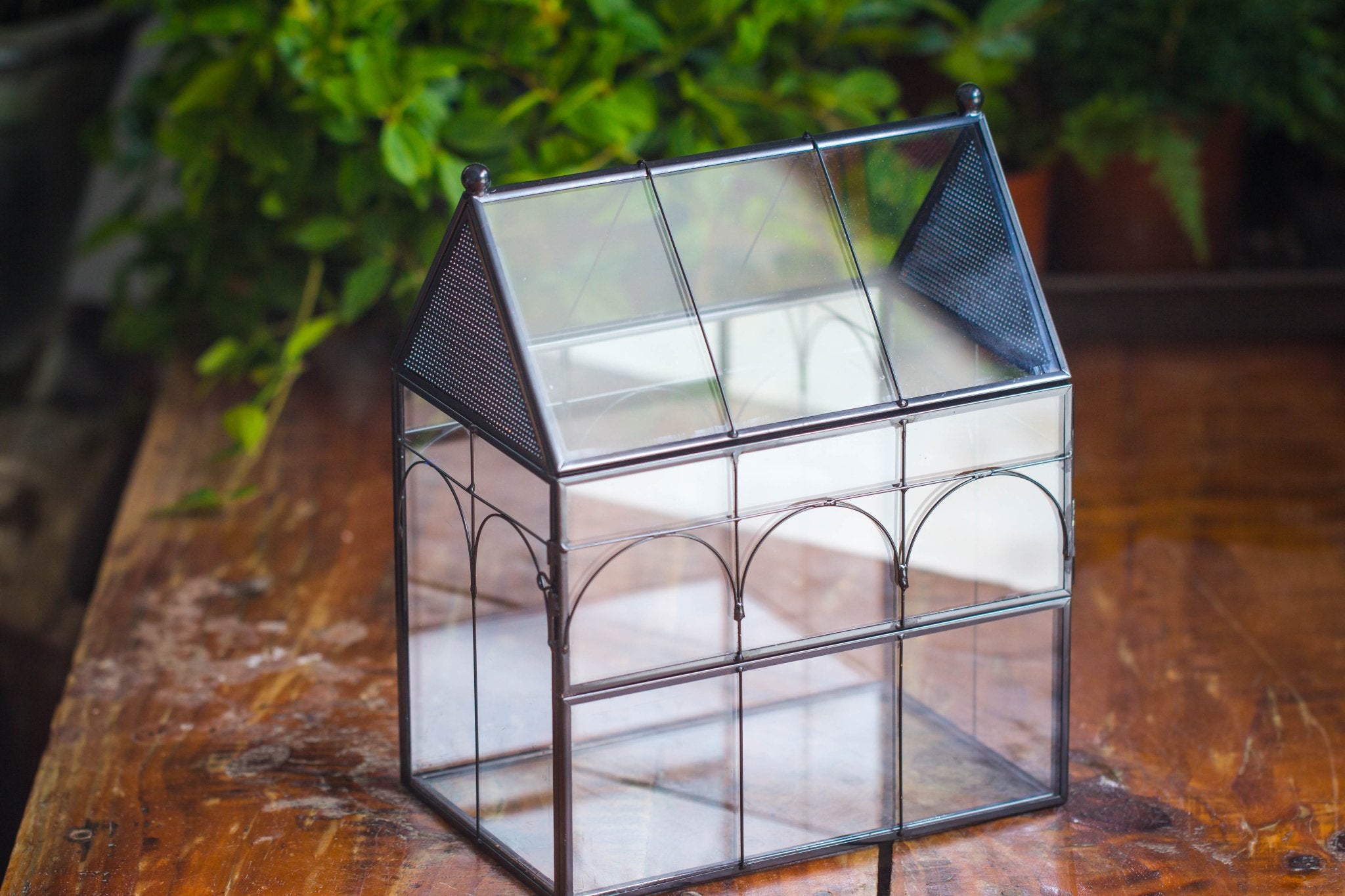 NCYP Vintage House Shape Glass Geometric Terrarium building set, with side door, with Mesh / vent holes for Insects Pet - NCYPgarden