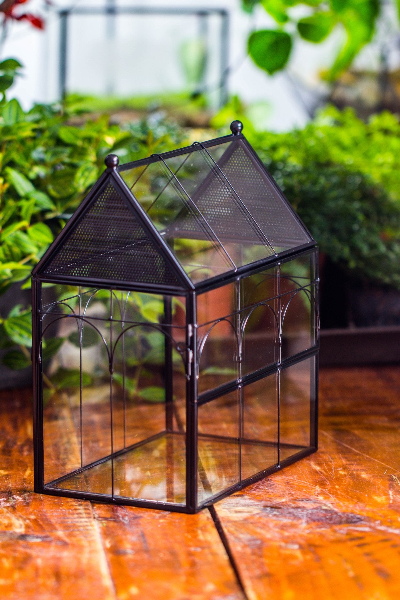 NCYP Vintage House Shape Glass Geometric Terrarium building set, with side door, with Mesh / vent holes for Insects Pet - NCYPgarden