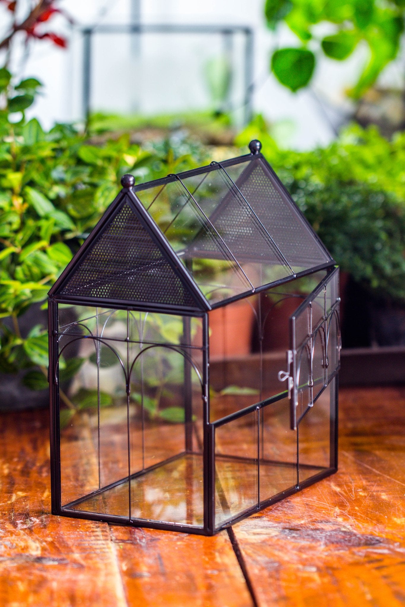 NCYP Vintage House Shape Glass Geometric Terrarium building set, with side door, with Mesh / vent holes for Insects Pet - NCYPgarden